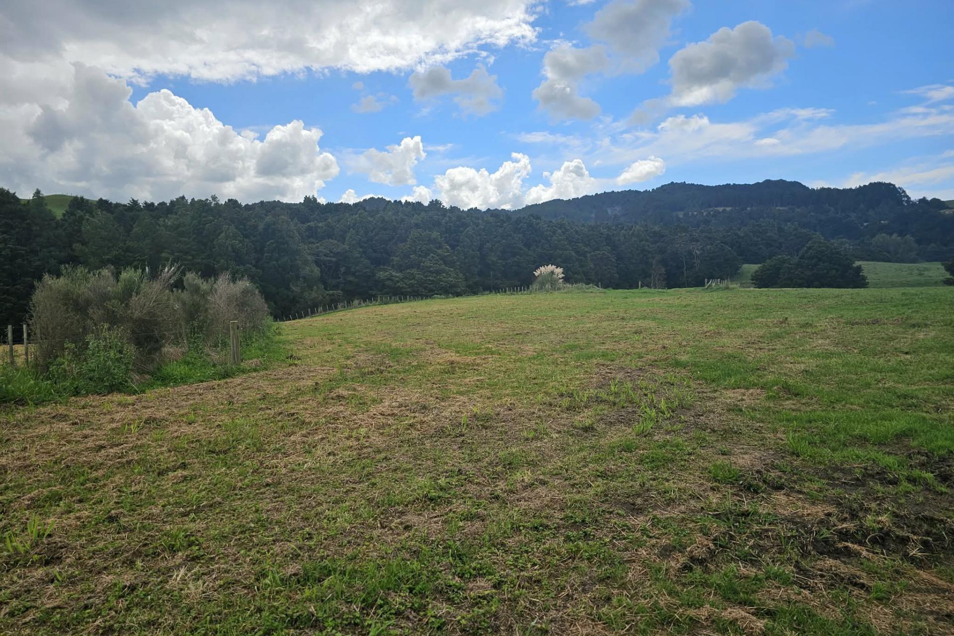 Lot 1, Dodd Road, Maungaturoto