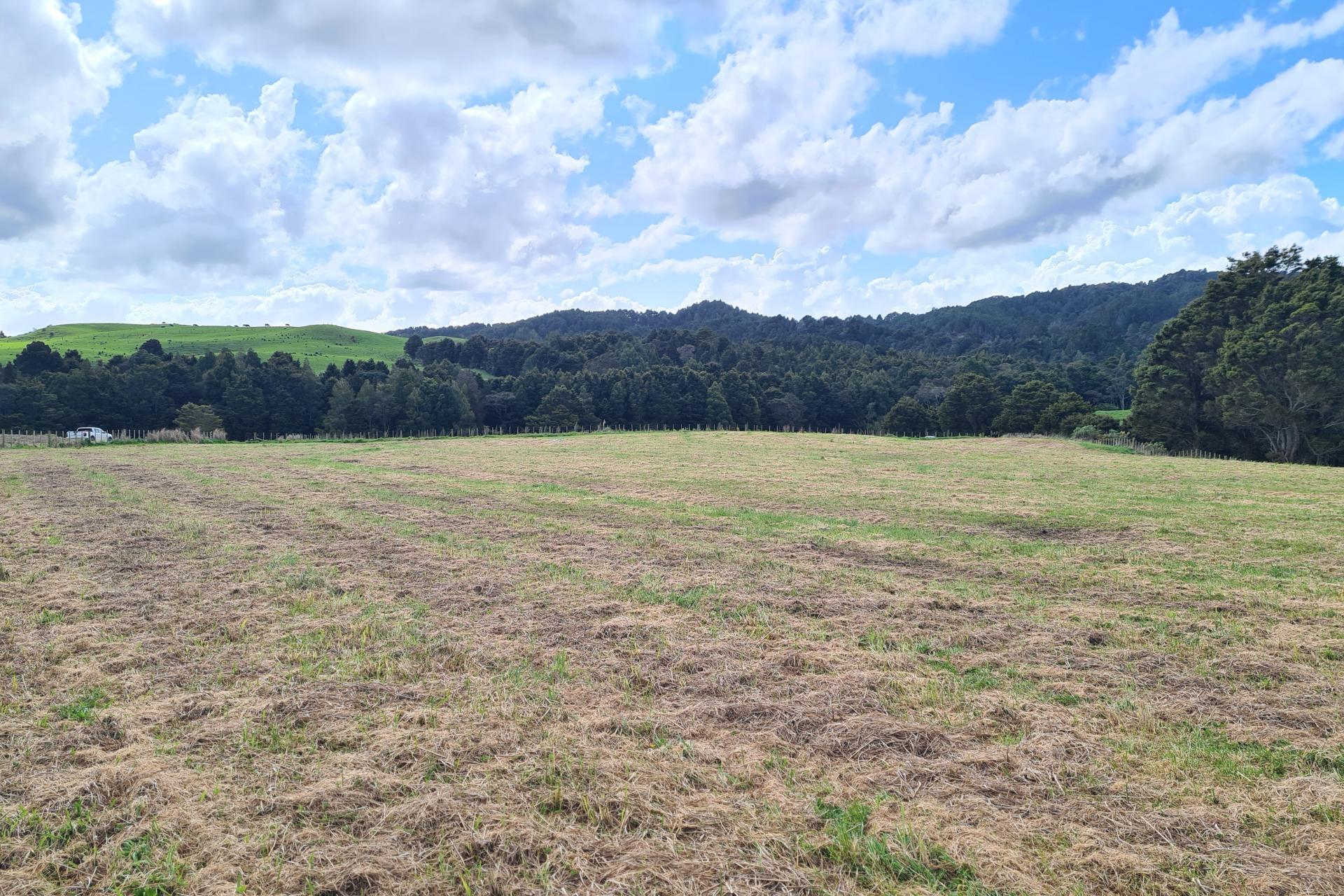 Lot 2, Dodd Road, Maungaturoto