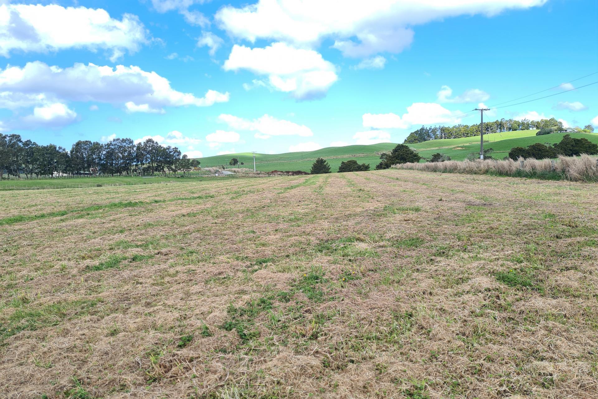 Lot 2, Dodd Road, Maungaturoto