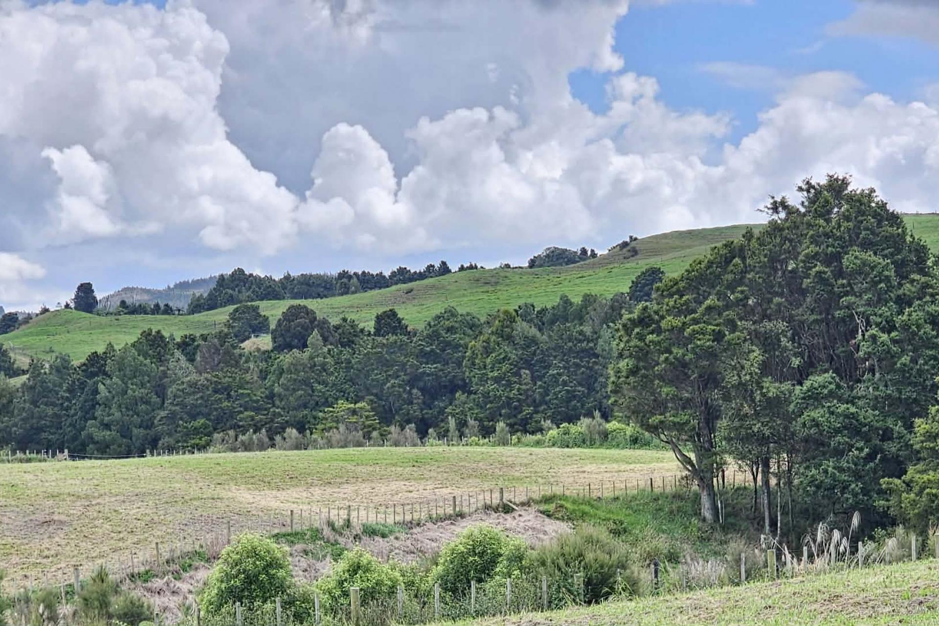 Lot 2, Dodd Road, Maungaturoto