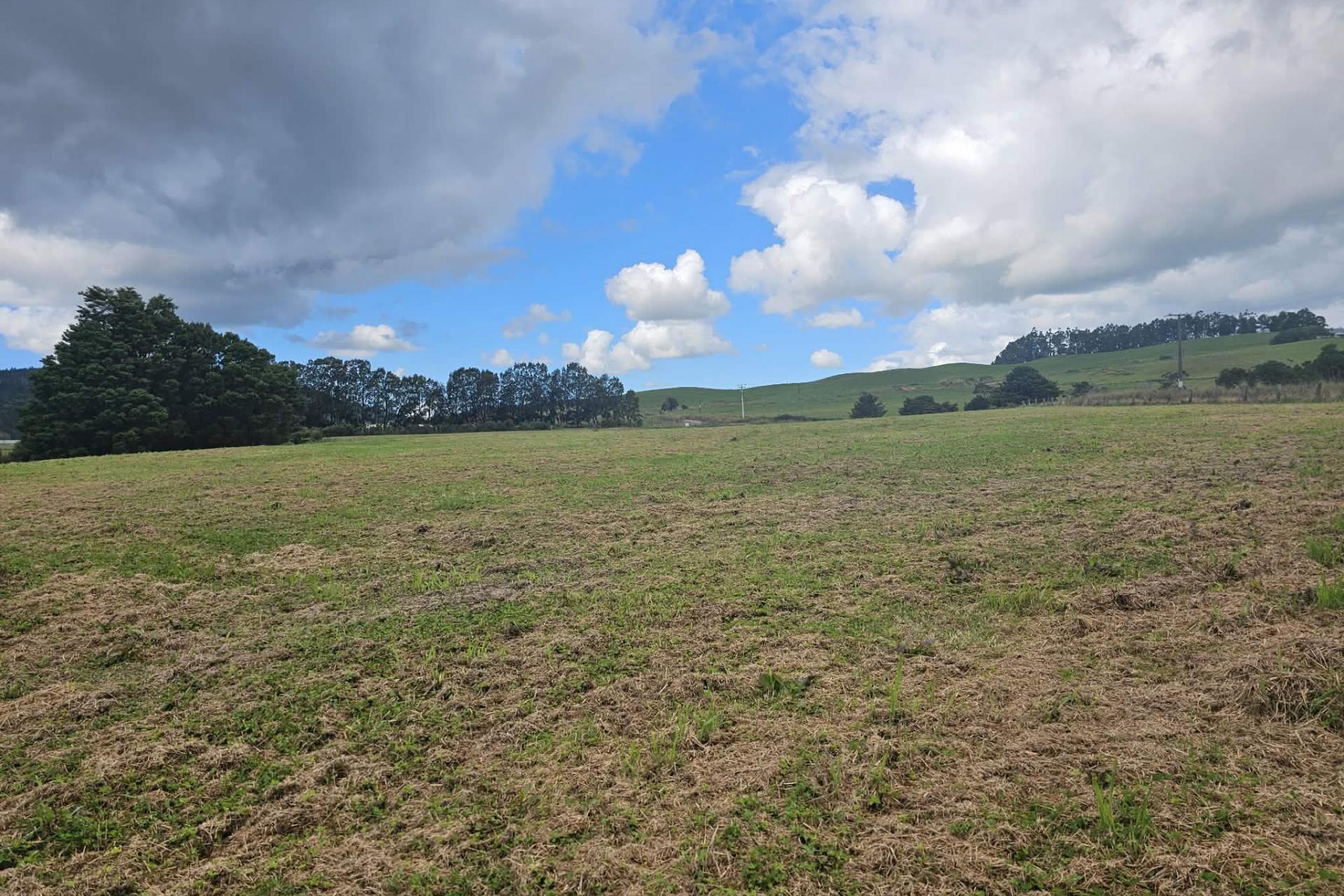 Lot 2, Dodd Road, Maungaturoto