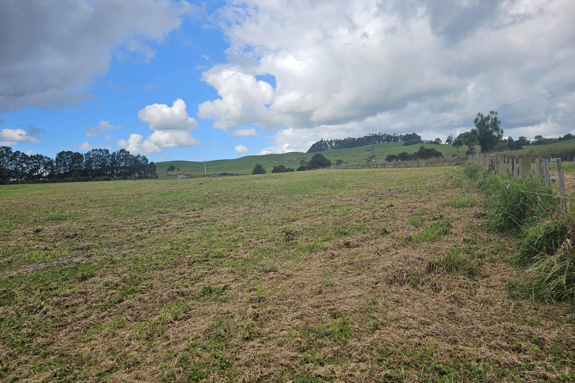 Lot 2, Dodd Road, Maungaturoto