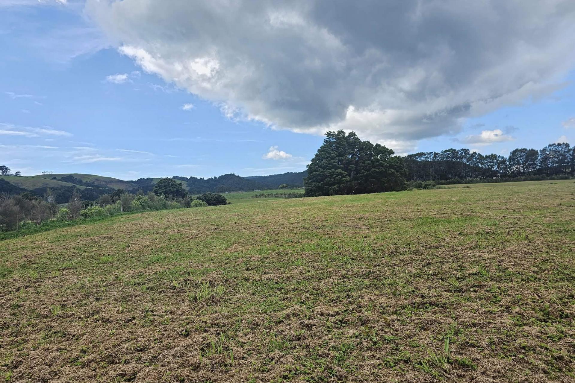 Lot 2, Dodd Road, Maungaturoto