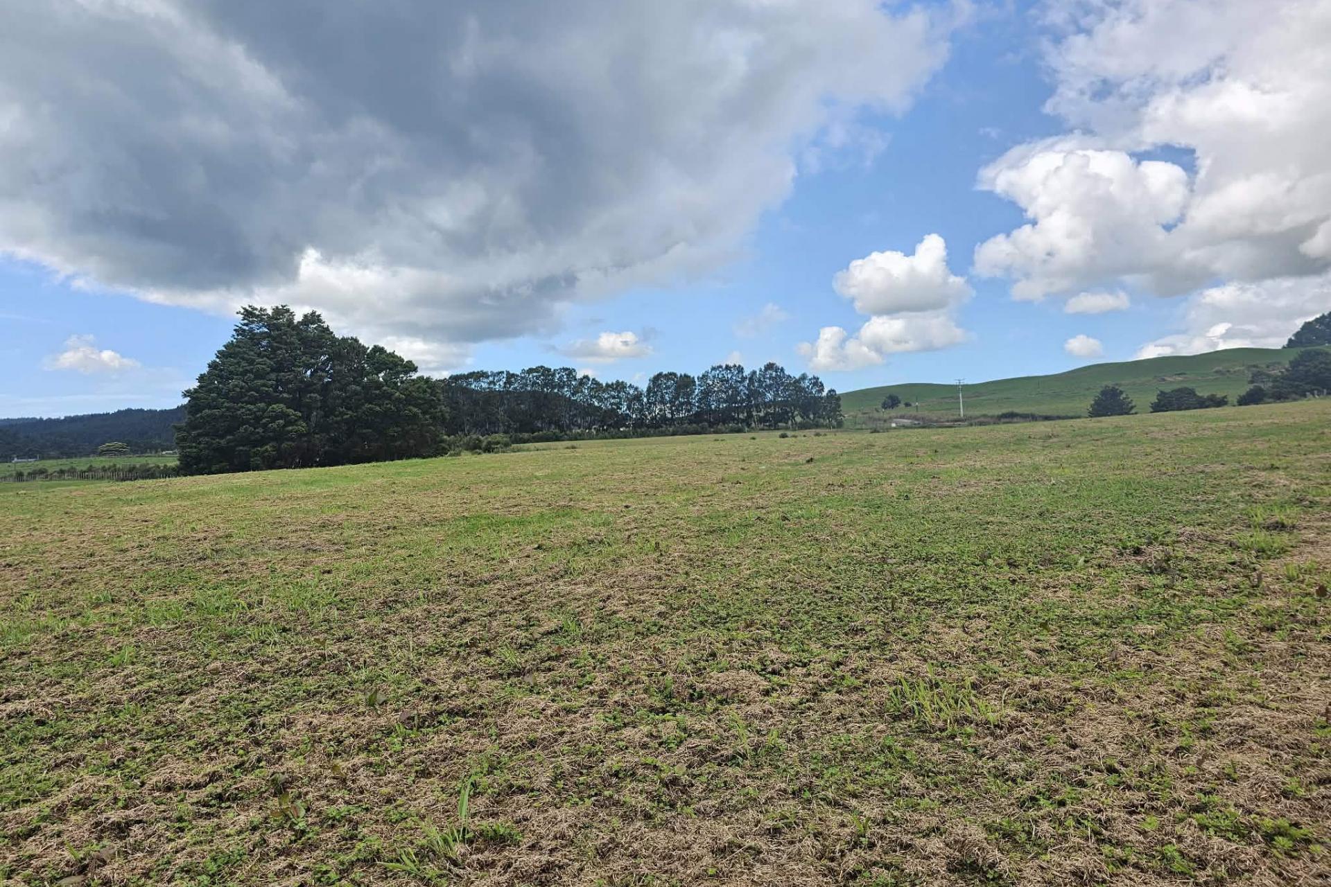 Lot 2, Dodd Road, Maungaturoto