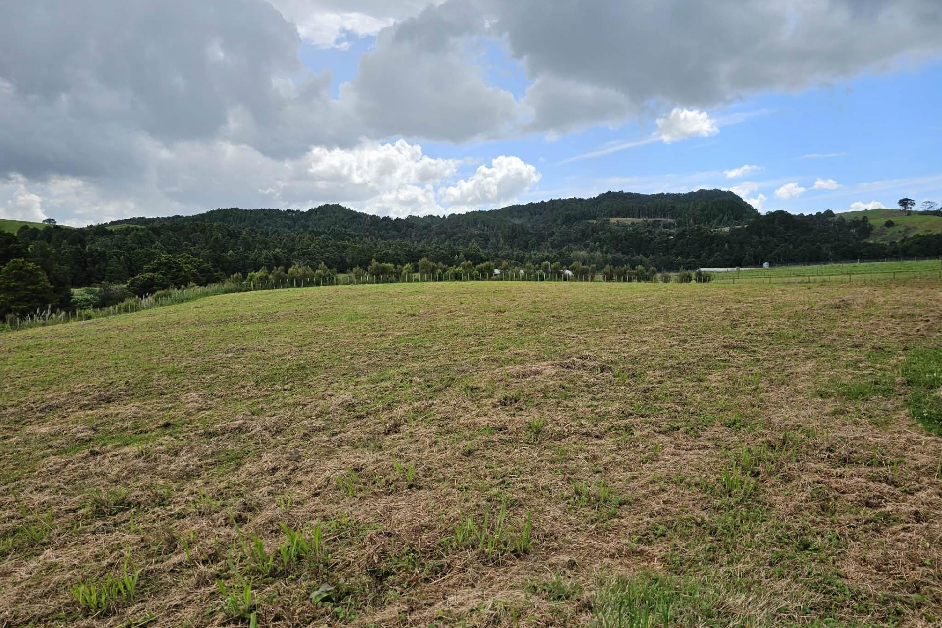 Lot 3, Dodd Road, Maungaturoto