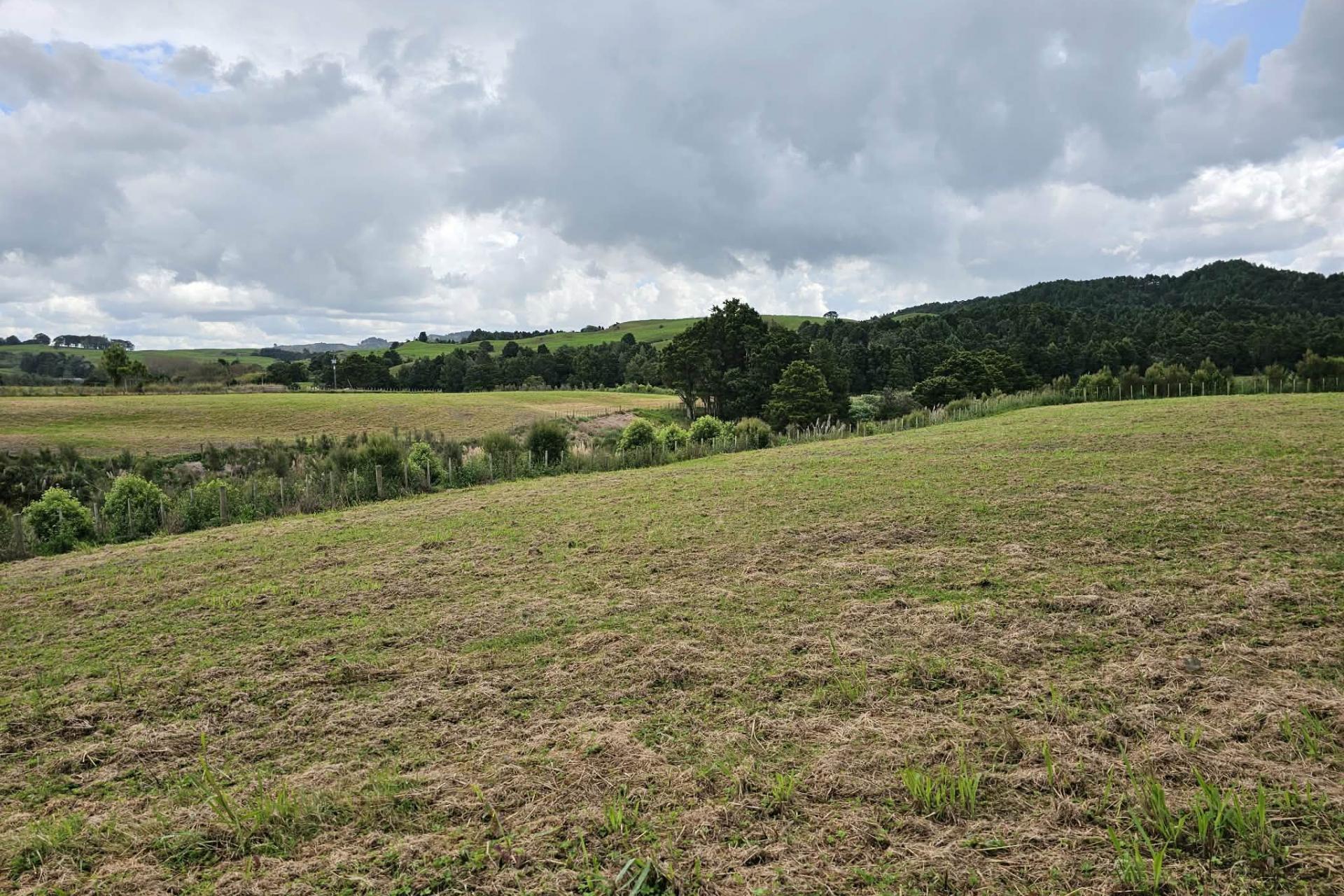 Lot 3, Dodd Road, Maungaturoto