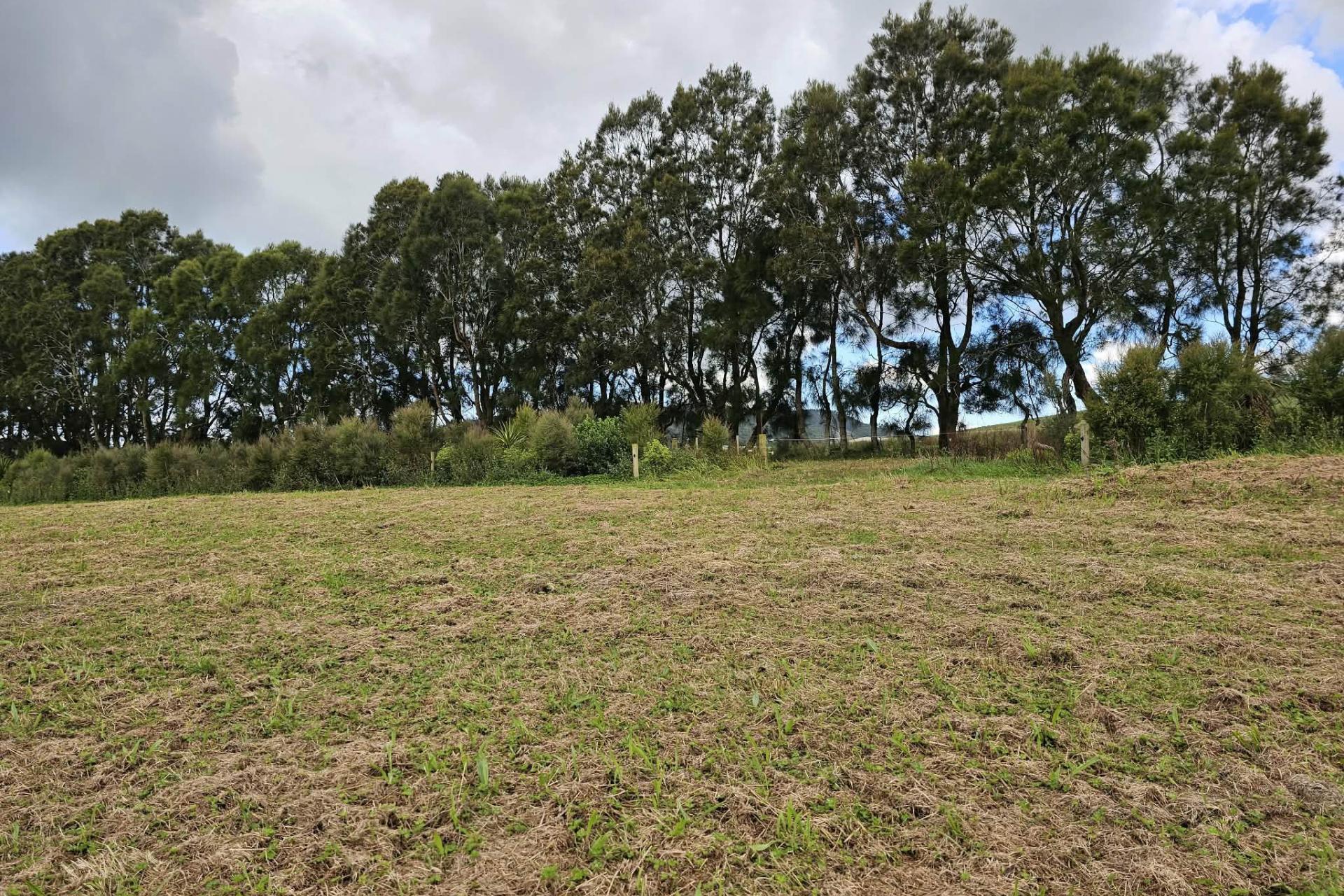Lot 3, Dodd Road, Maungaturoto