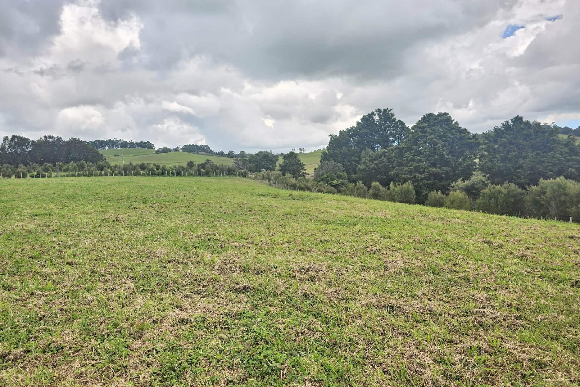 Lot 5, Dodd Road, Maungaturoto