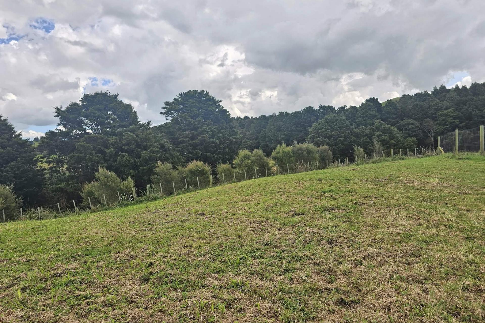 Lot 5, Dodd Road, Maungaturoto