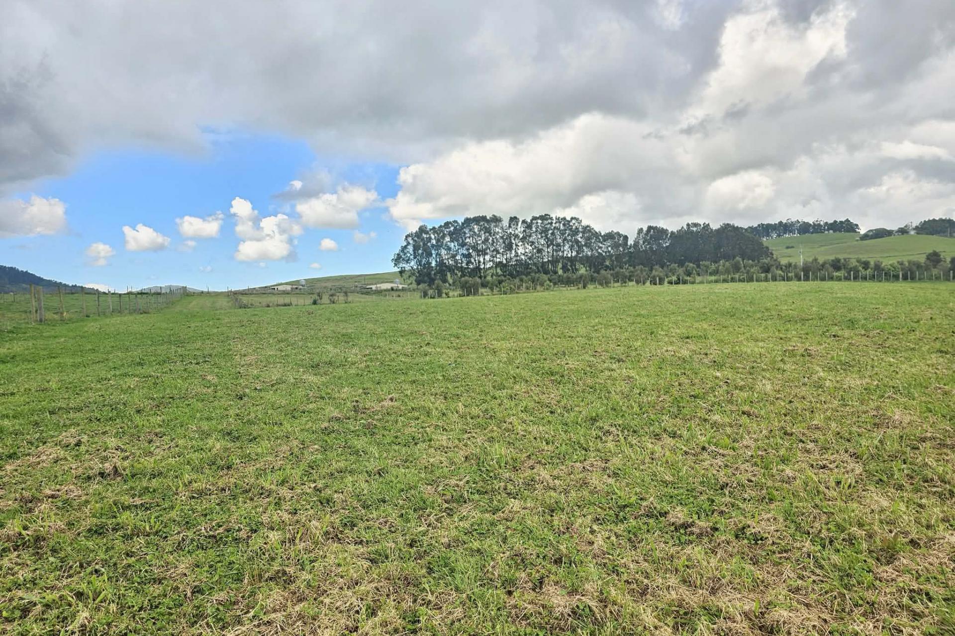Lot 5, Dodd Road, Maungaturoto