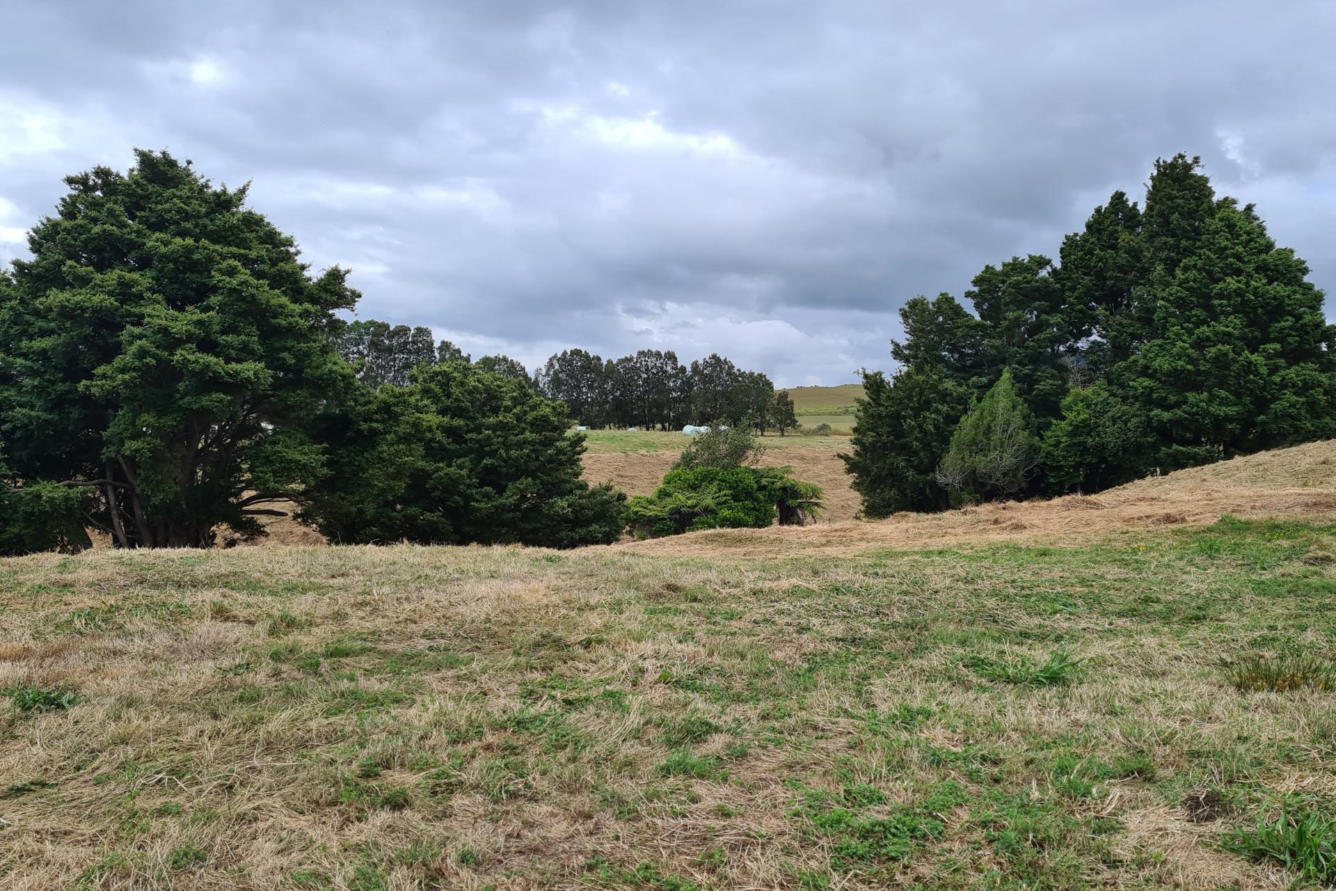 Lot 5, Dodd Road, Maungaturoto