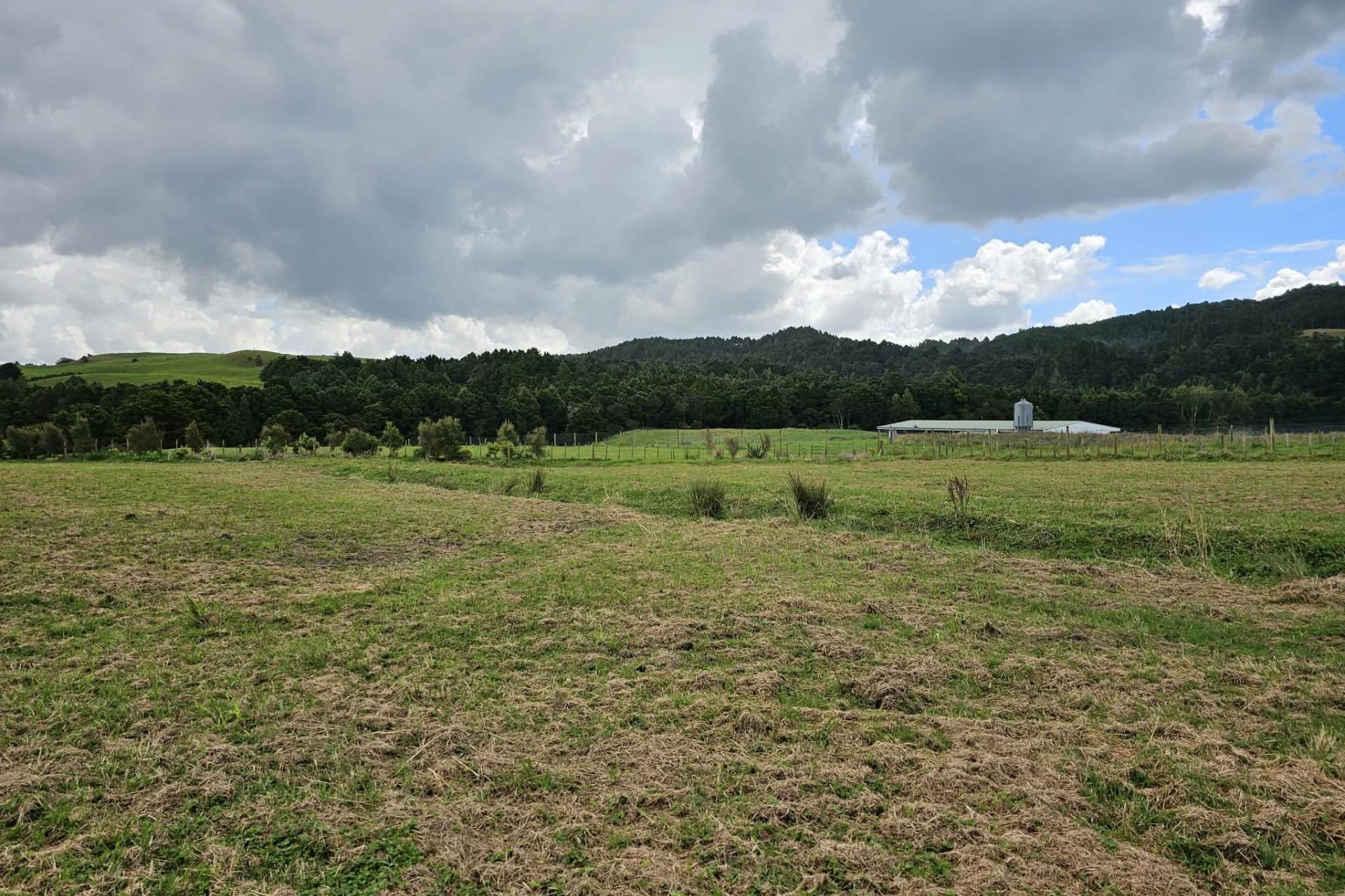 Lot 4, Dodd Road, Maungaturoto