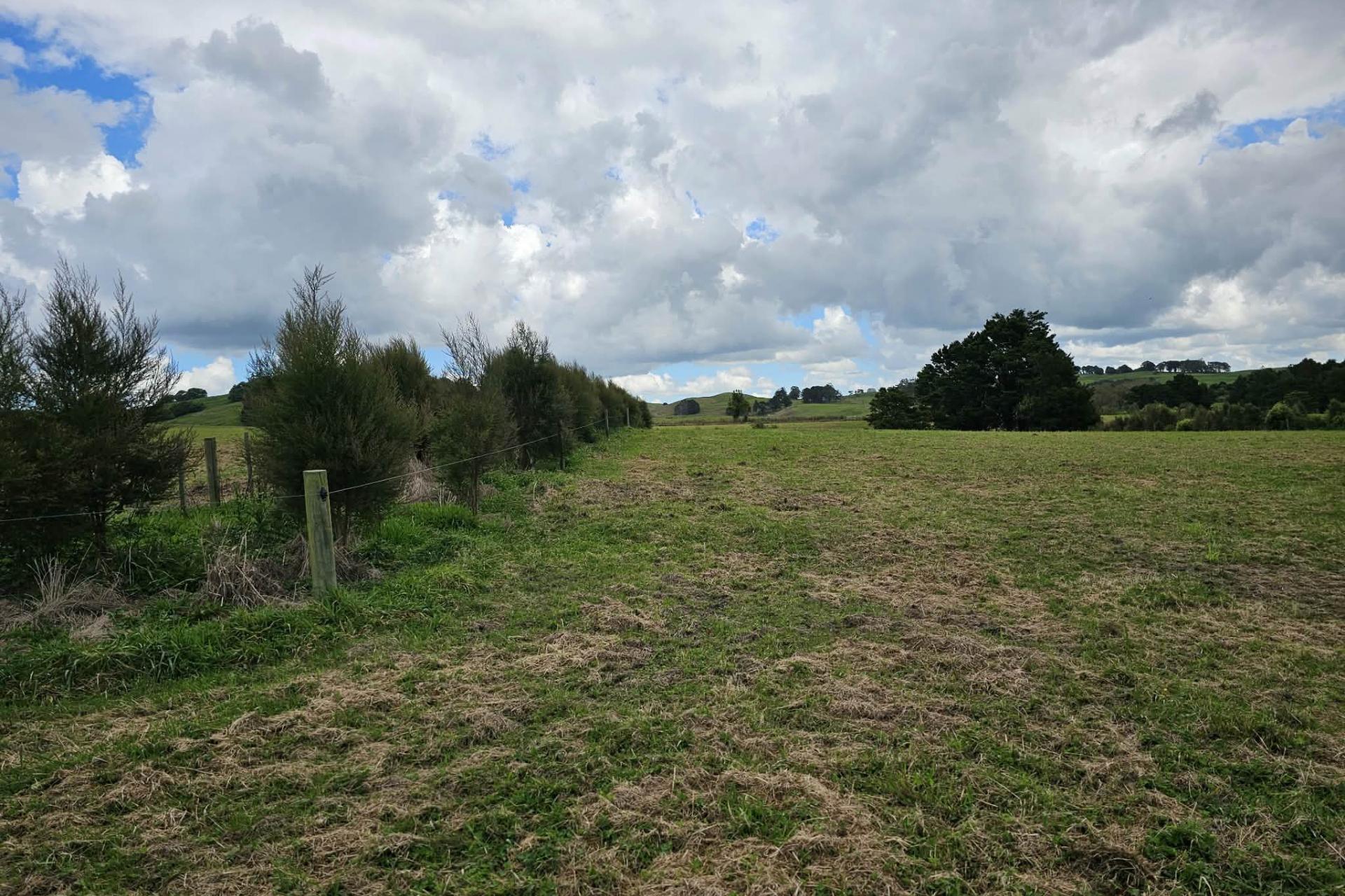 Lot 4, Dodd Road, Maungaturoto