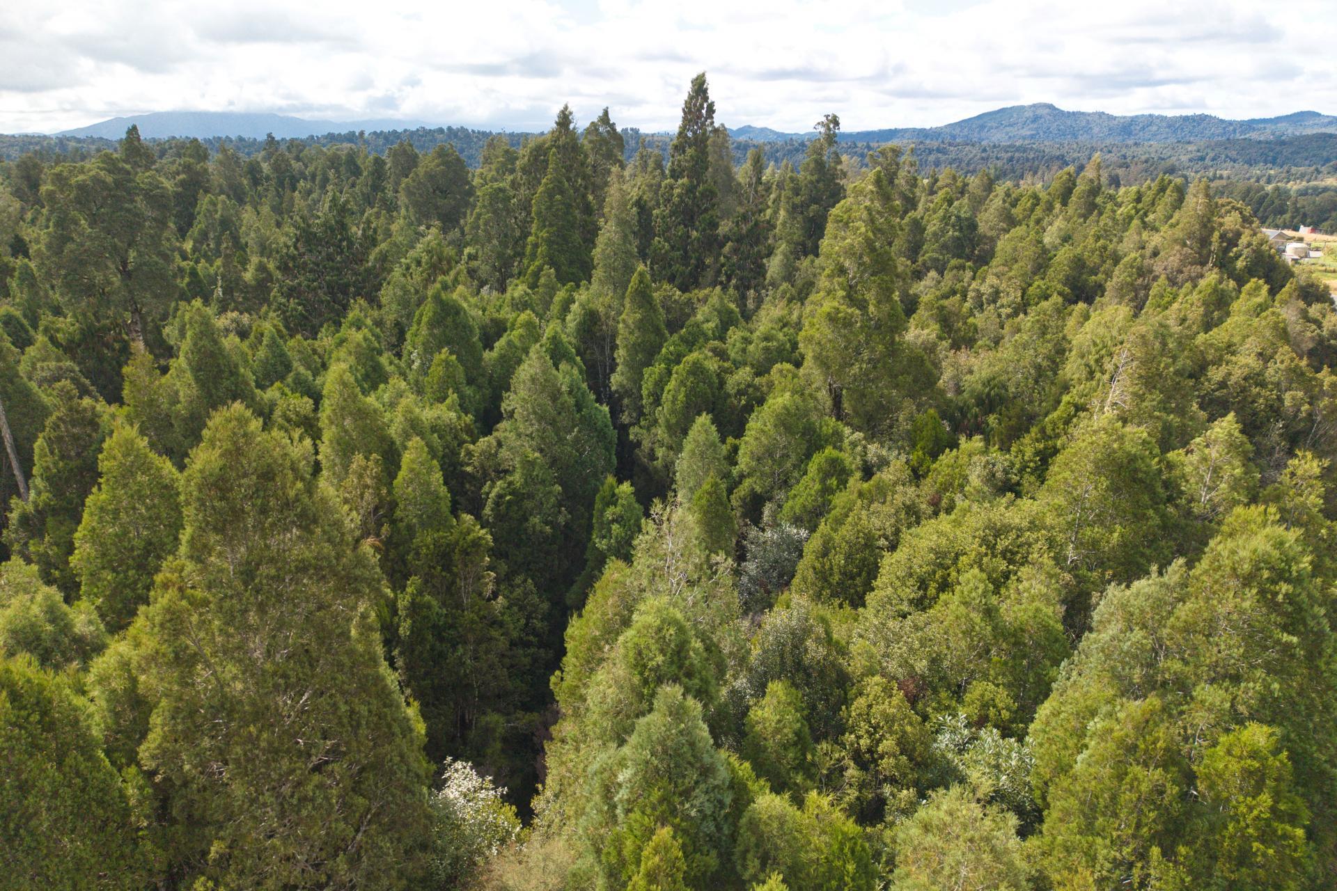 52 Aratika Drive, Arnold Valley