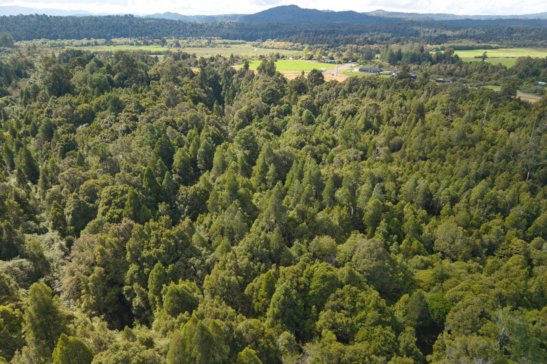 52 Aratika Drive, Arnold Valley