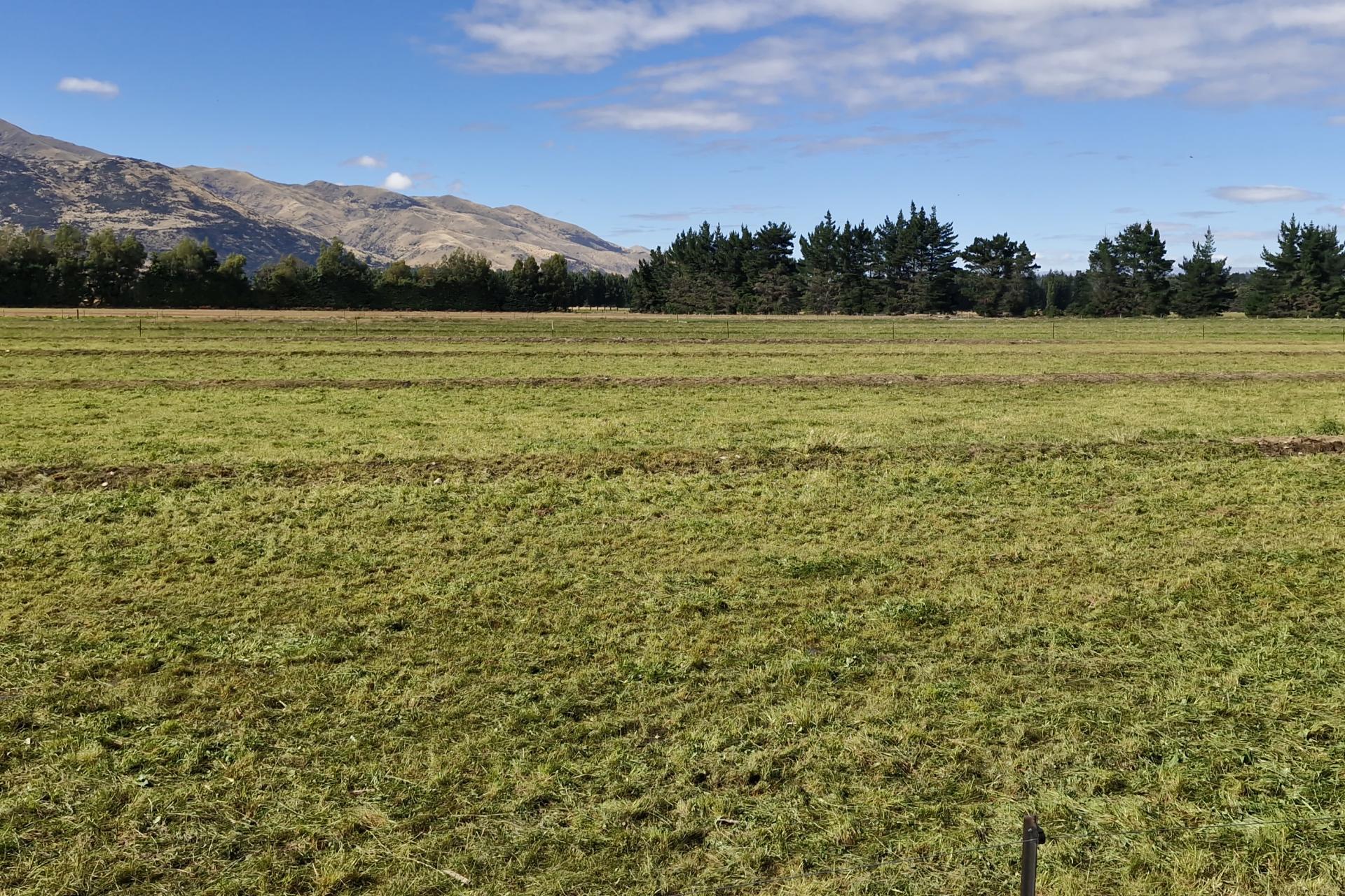 481 Camp Hill Road, Hawea Flat