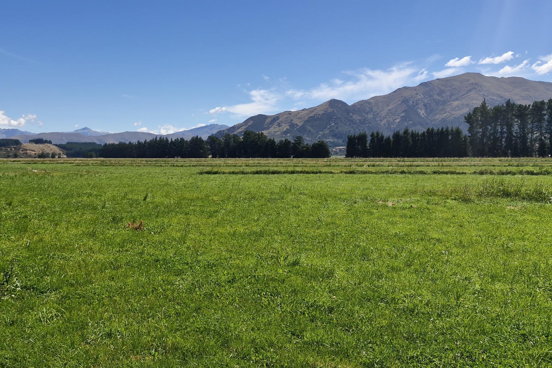 481 Camp Hill Road, Hawea Flat