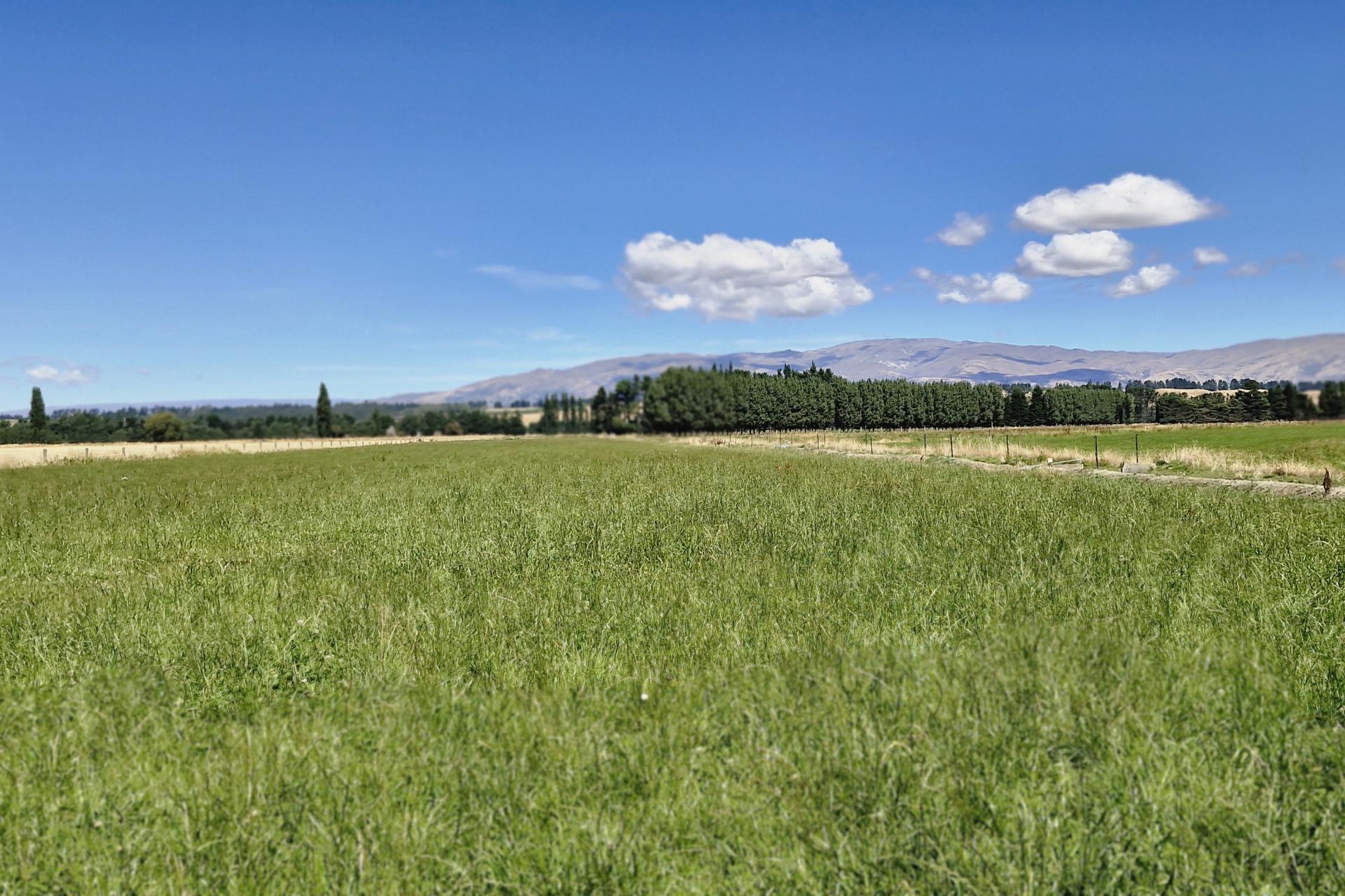 481 Camp Hill Road, Hawea Flat