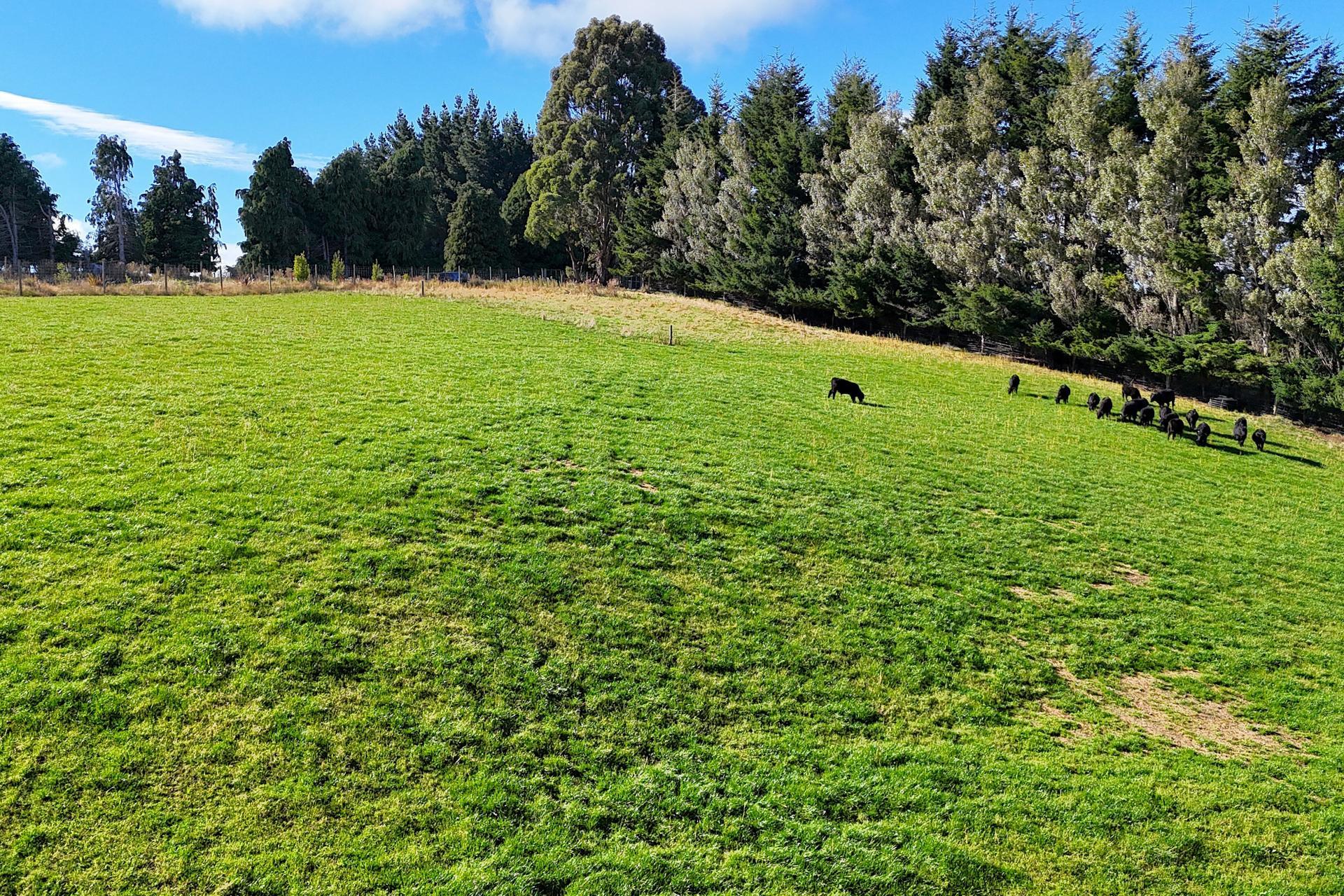 126 Ridgedale Road, Te Anau