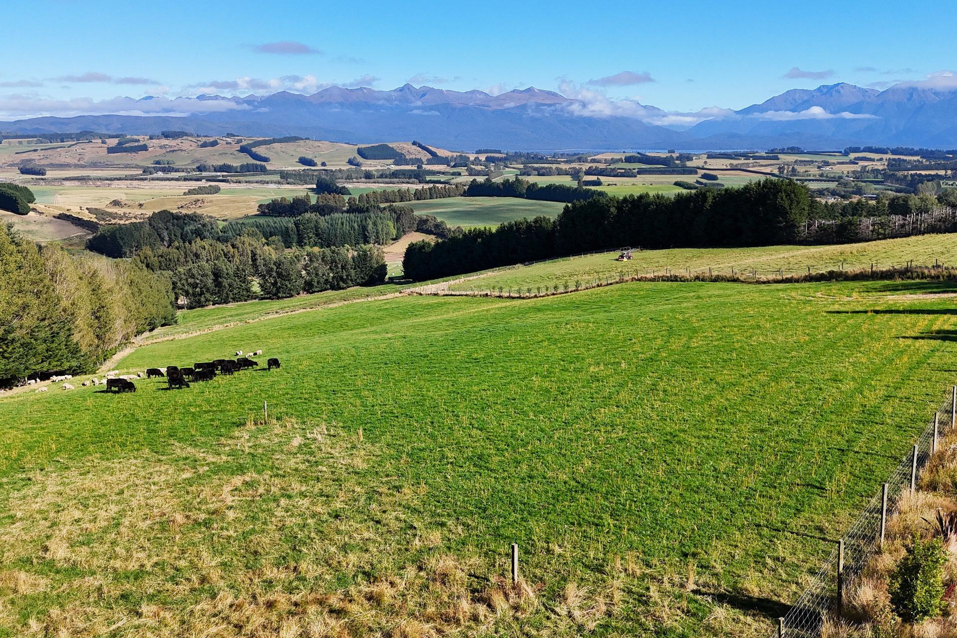 126 Ridgedale Road, Te Anau