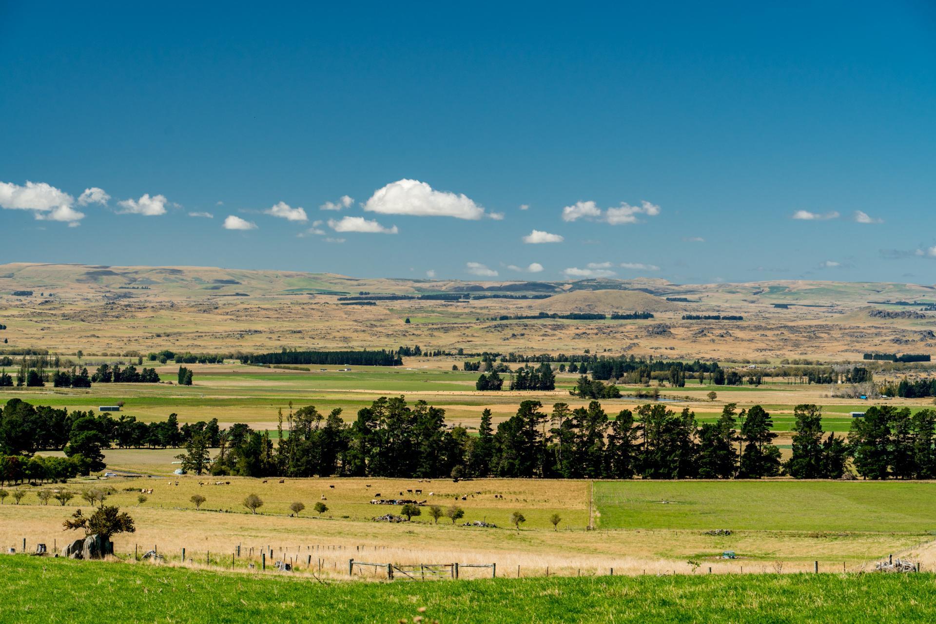 860 Gladbrook Road, Middlemarch