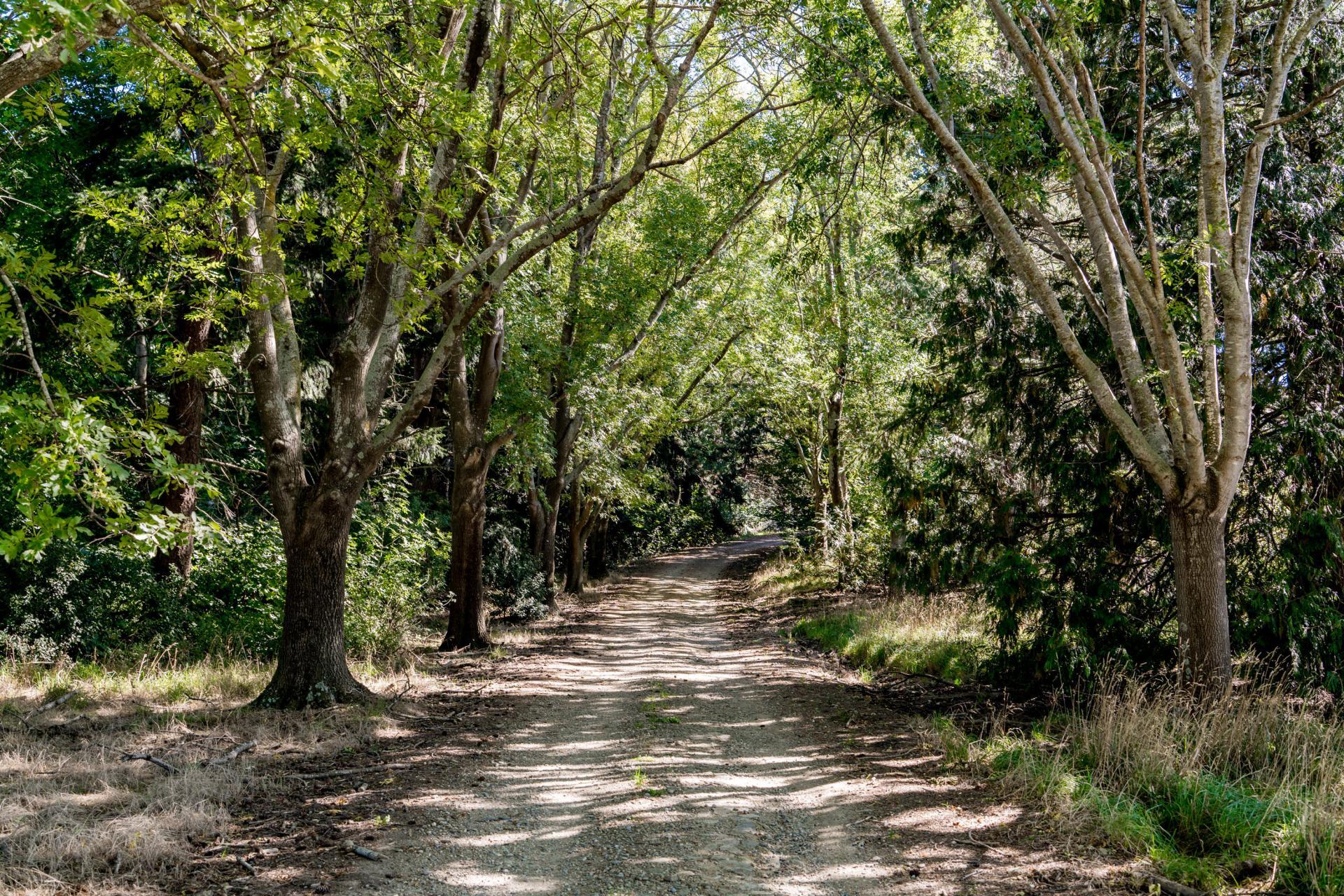 860 Gladbrook Road, Middlemarch