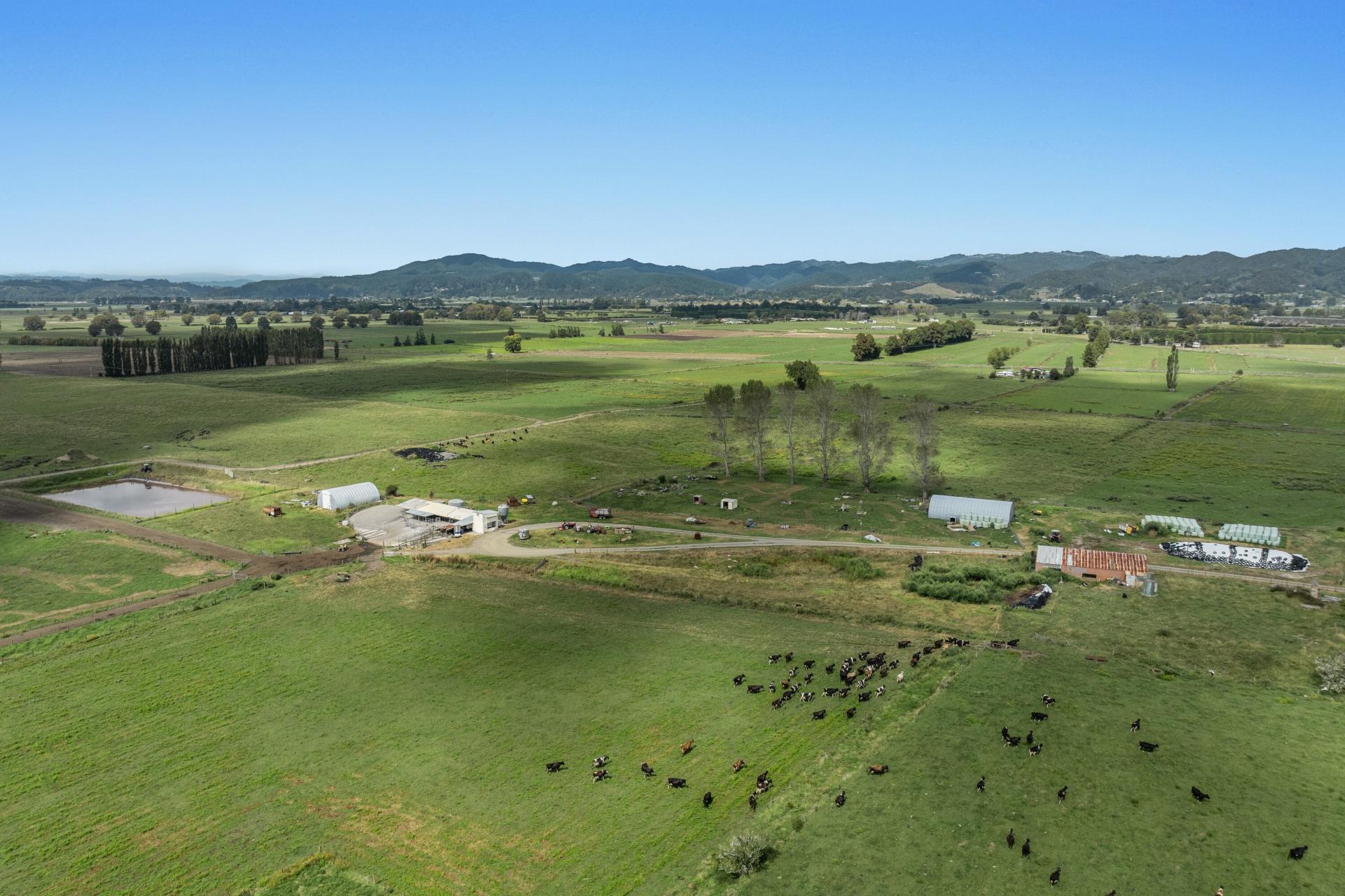 379B Powdrell Road, Awakeri