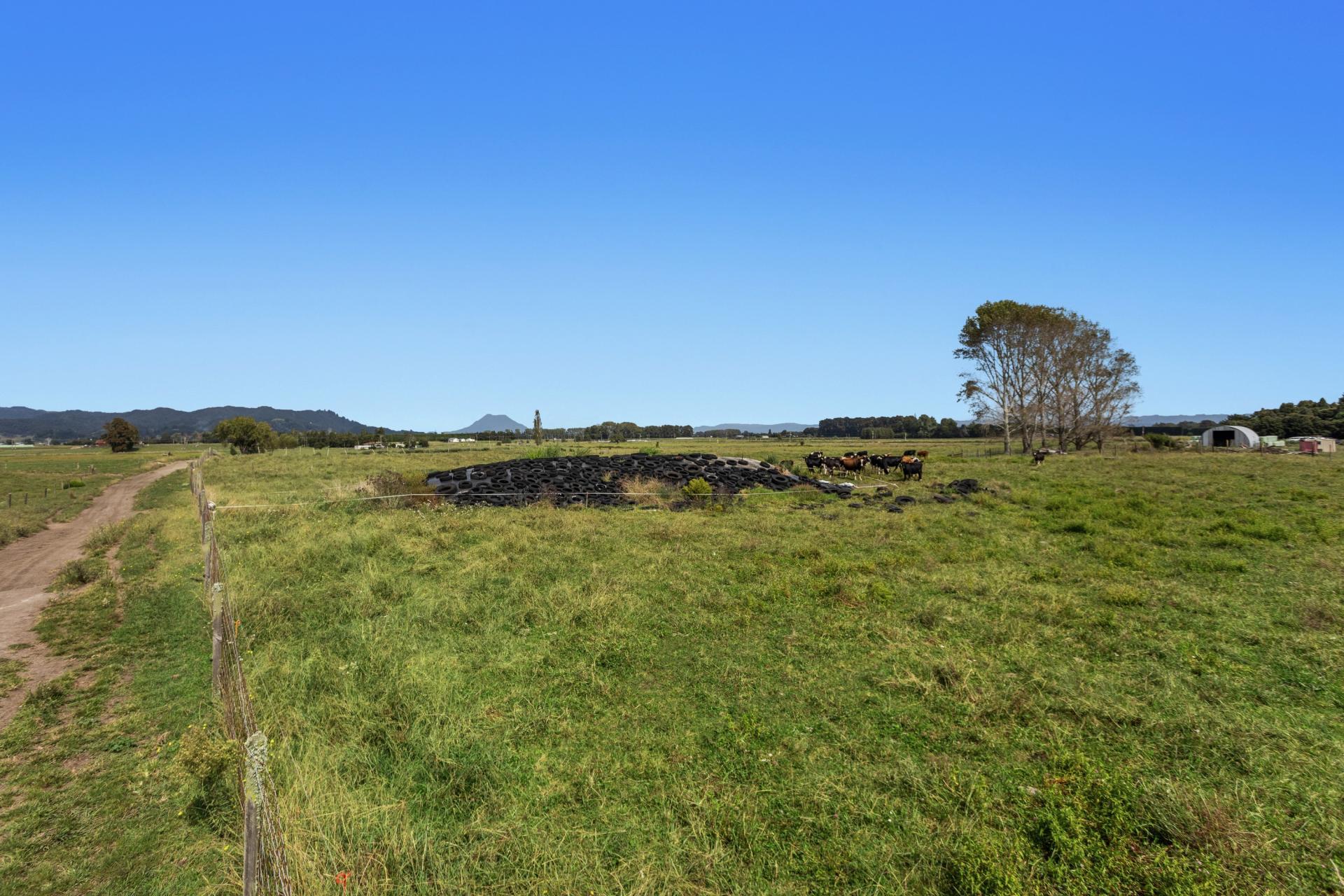 379B Powdrell Road, Awakeri