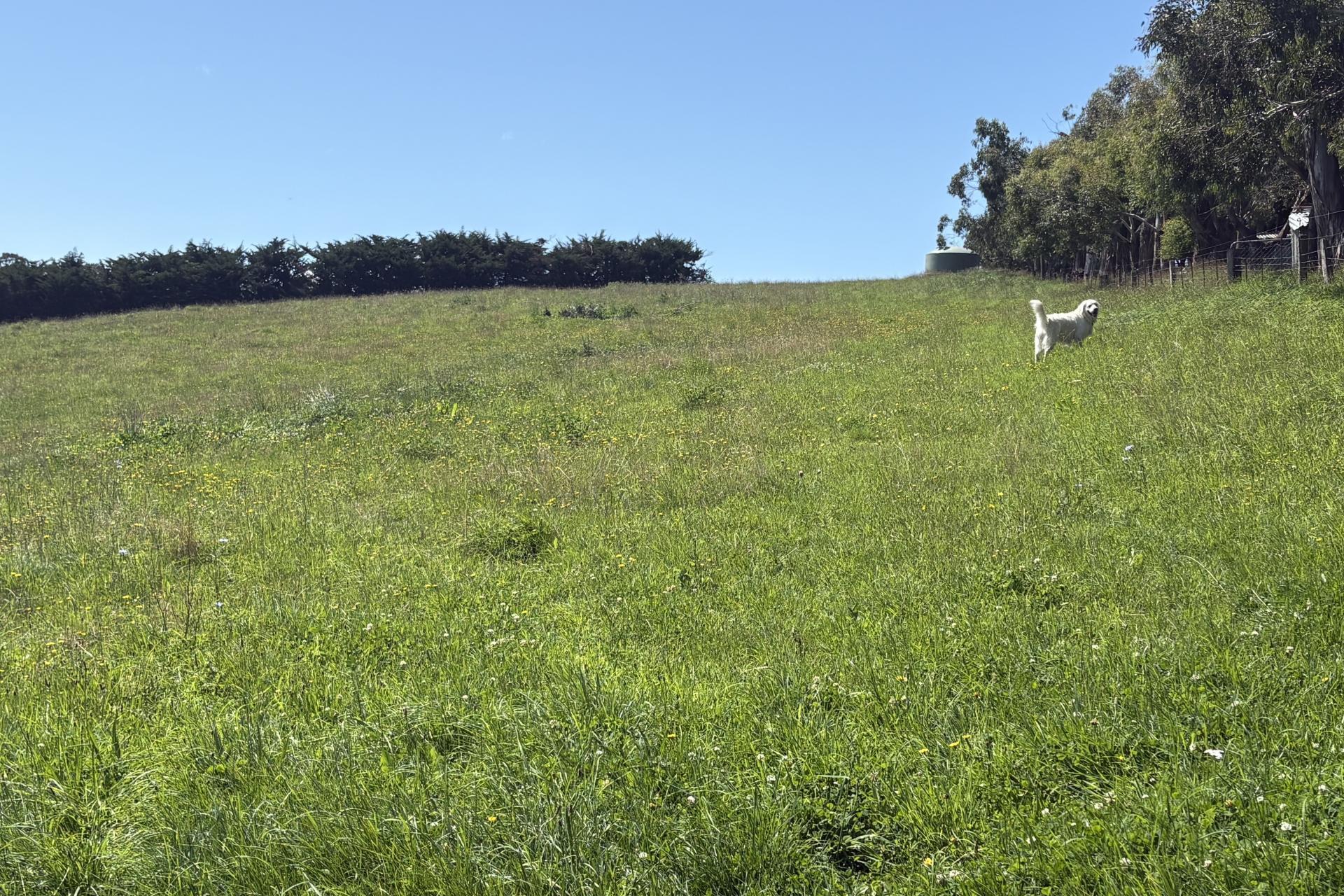 Oakwood Road, Hadlow