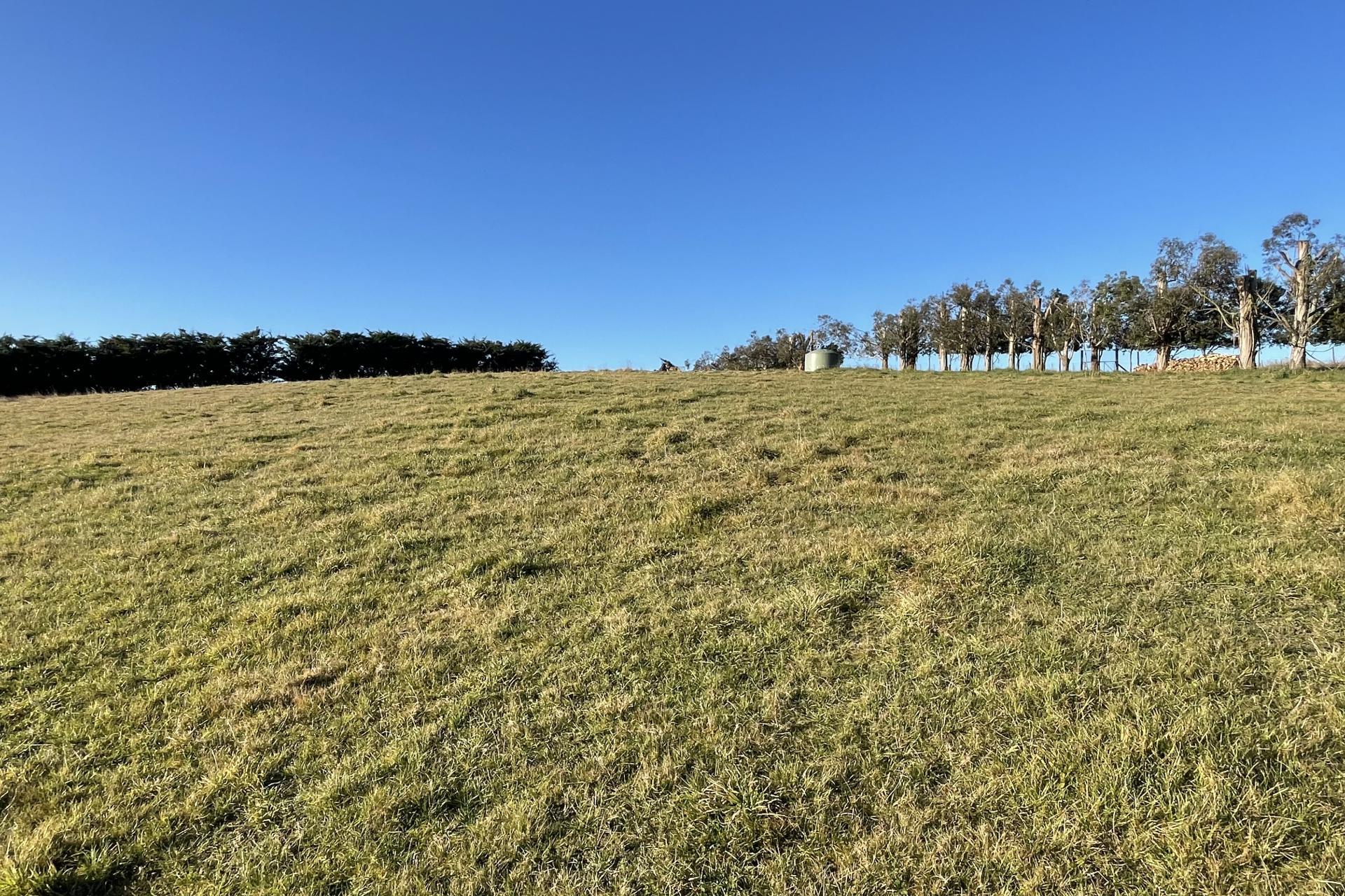 Oakwood Road, Hadlow