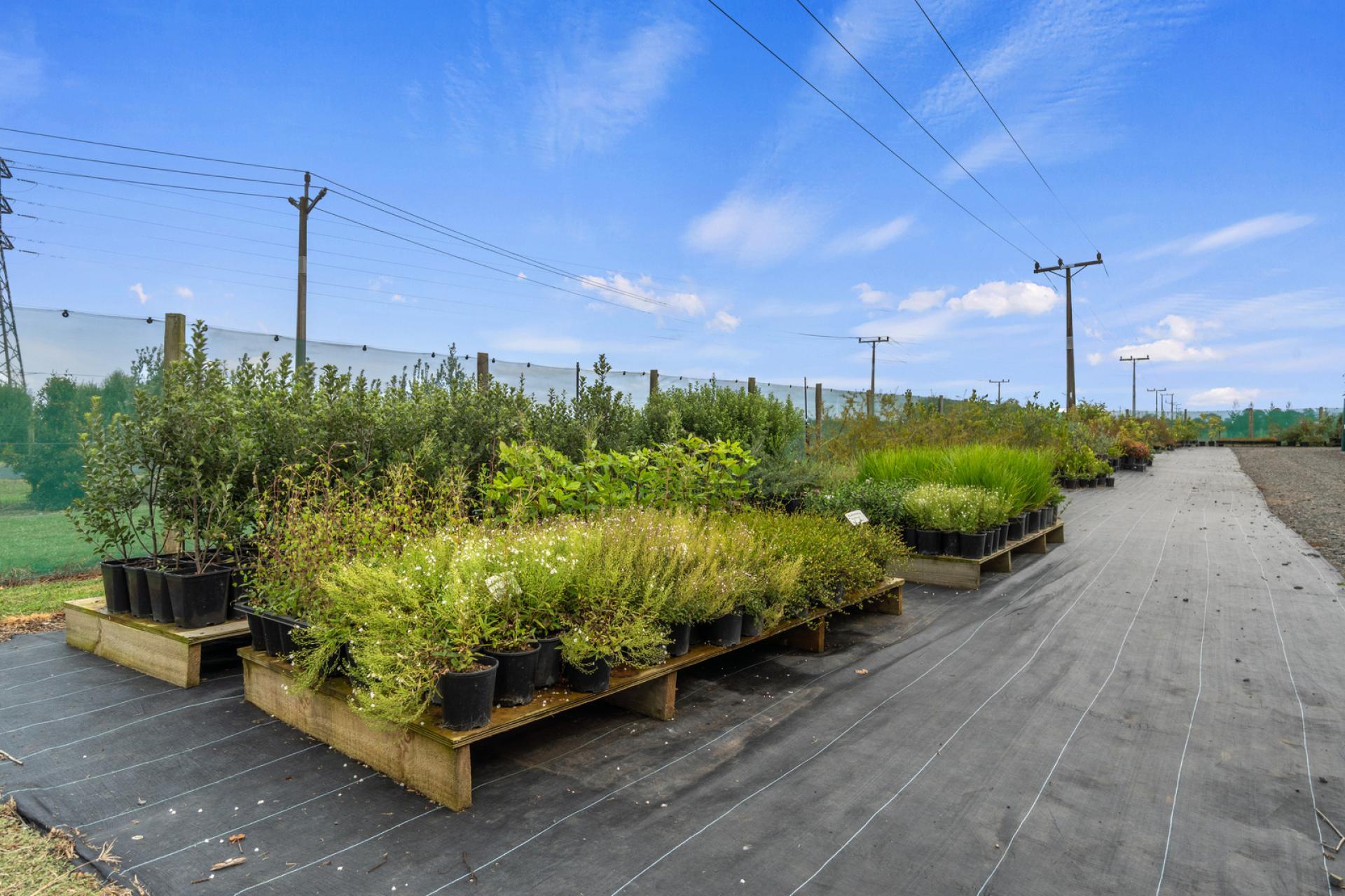 43 Mikkelsen Road, Te Aroha