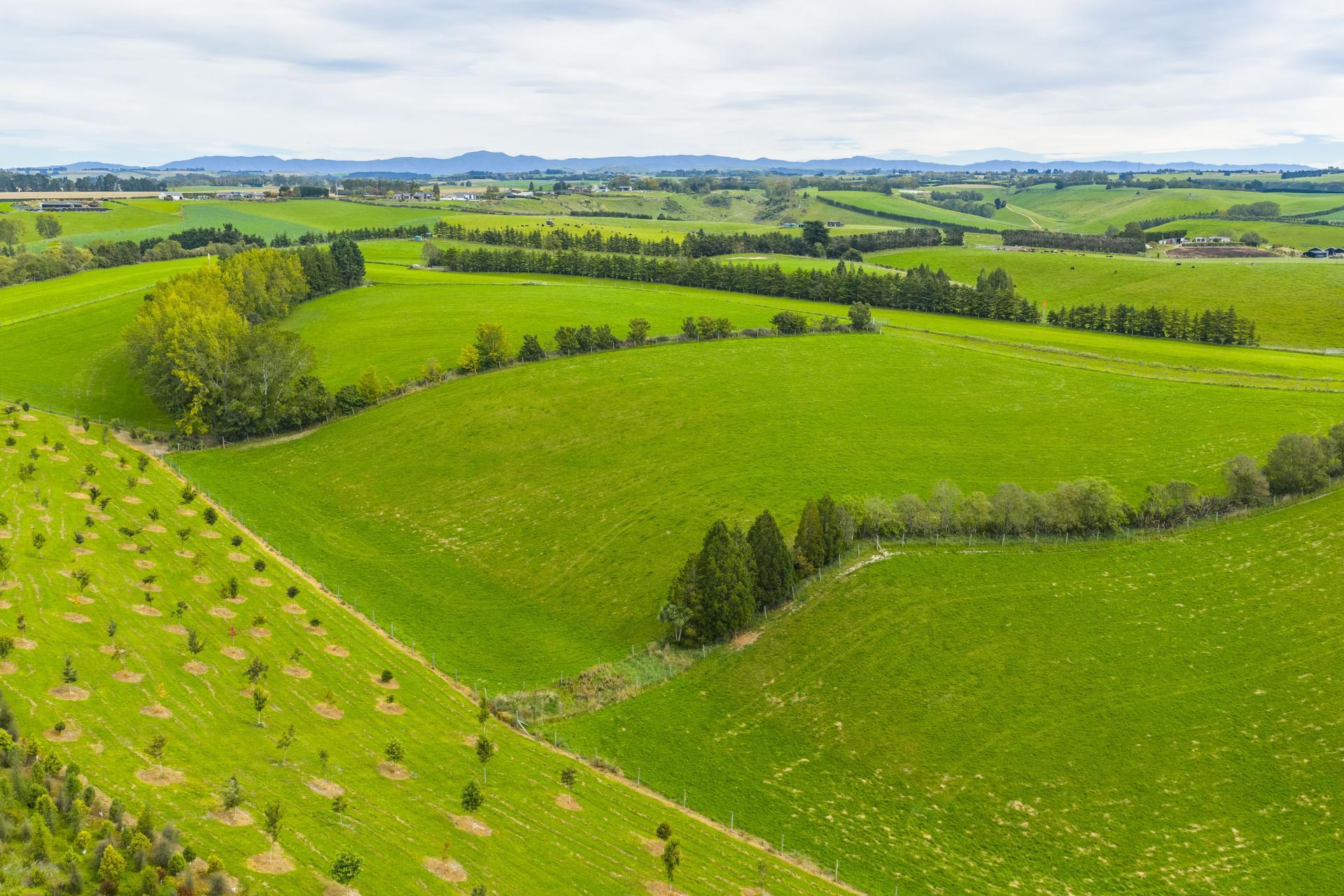 336 Spur Road, Rosewill