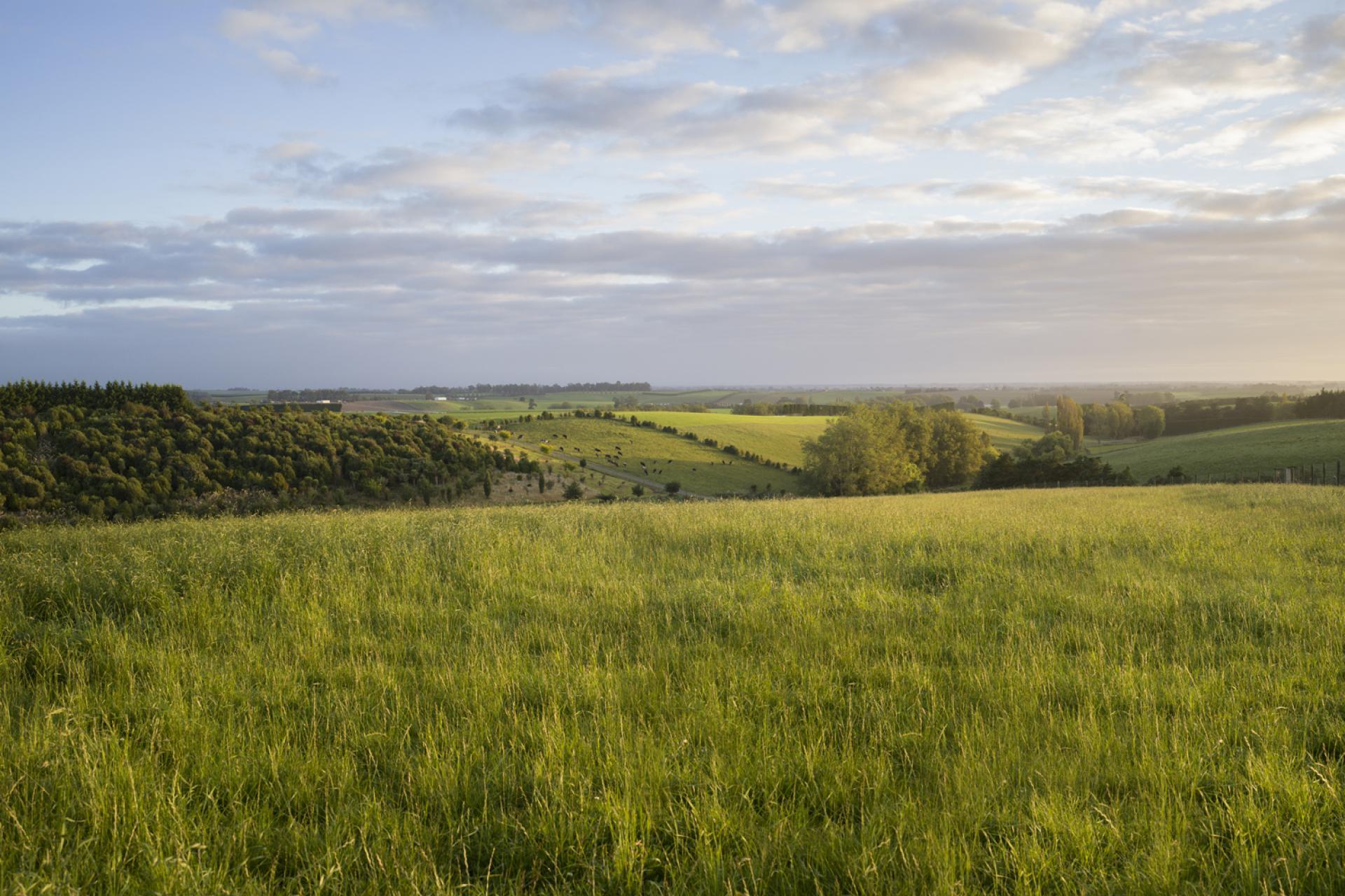 336 Spur Road, Rosewill