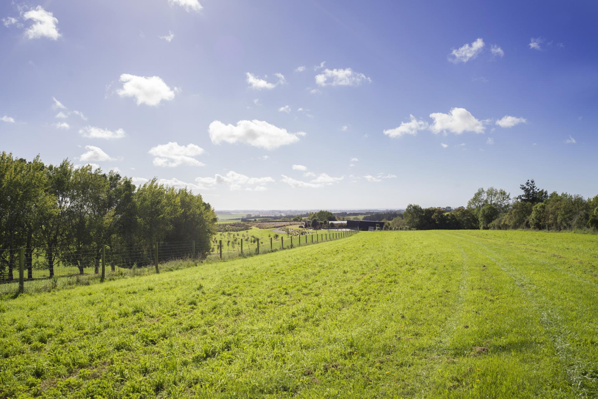 336 Spur Road, Rosewill