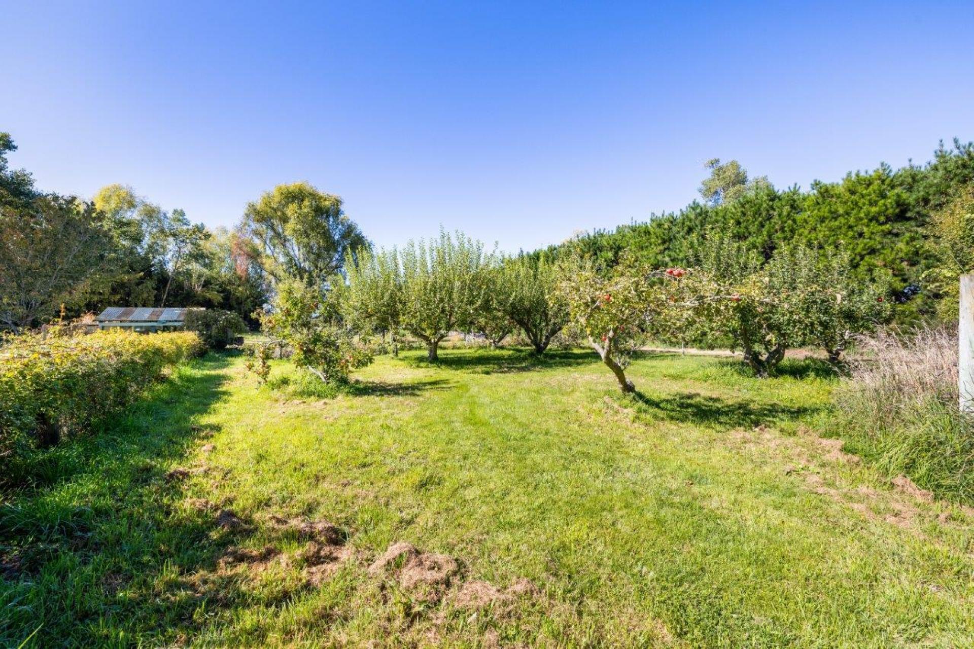 460 Douglas Road, Amberley