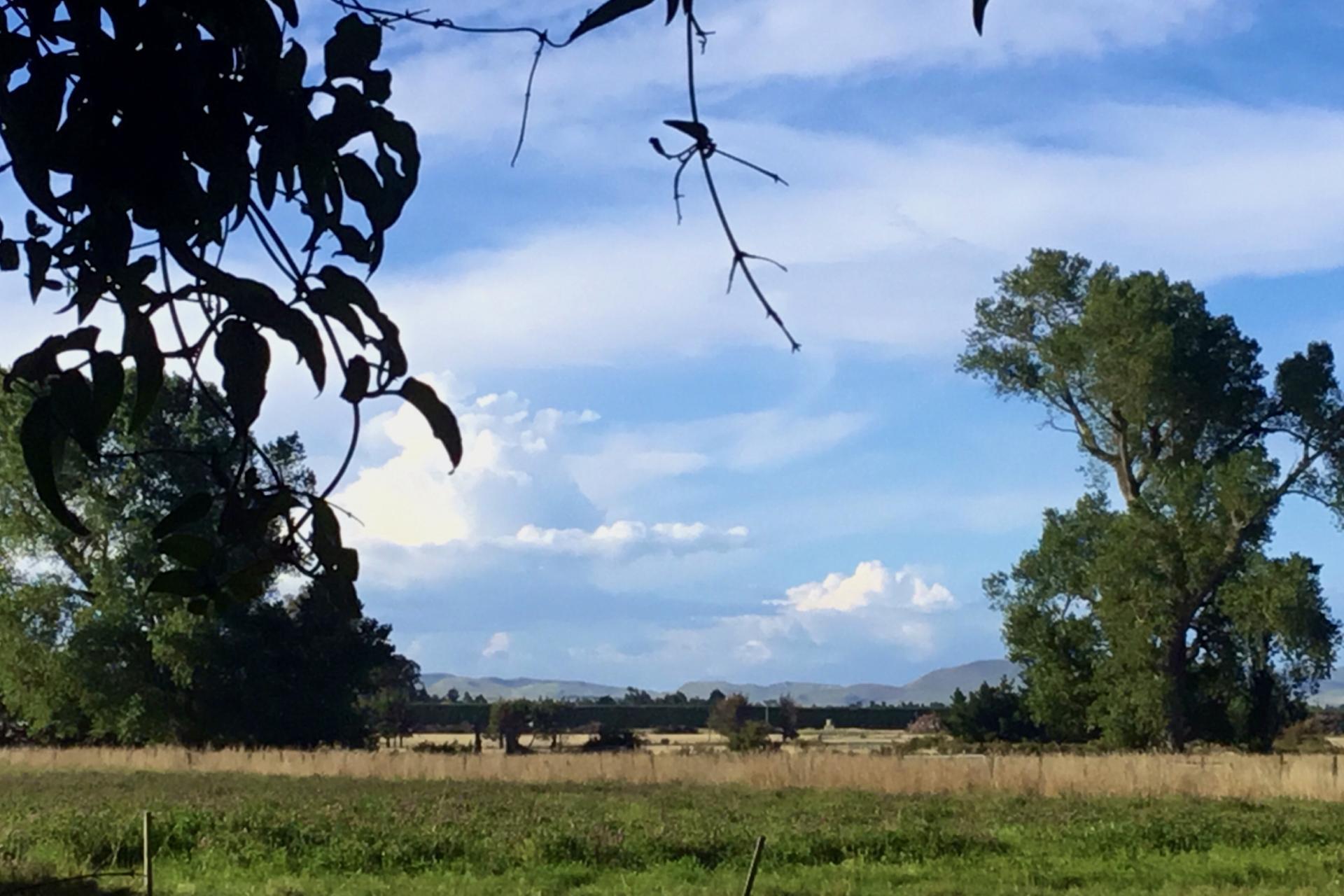 460 Douglas Road, Amberley