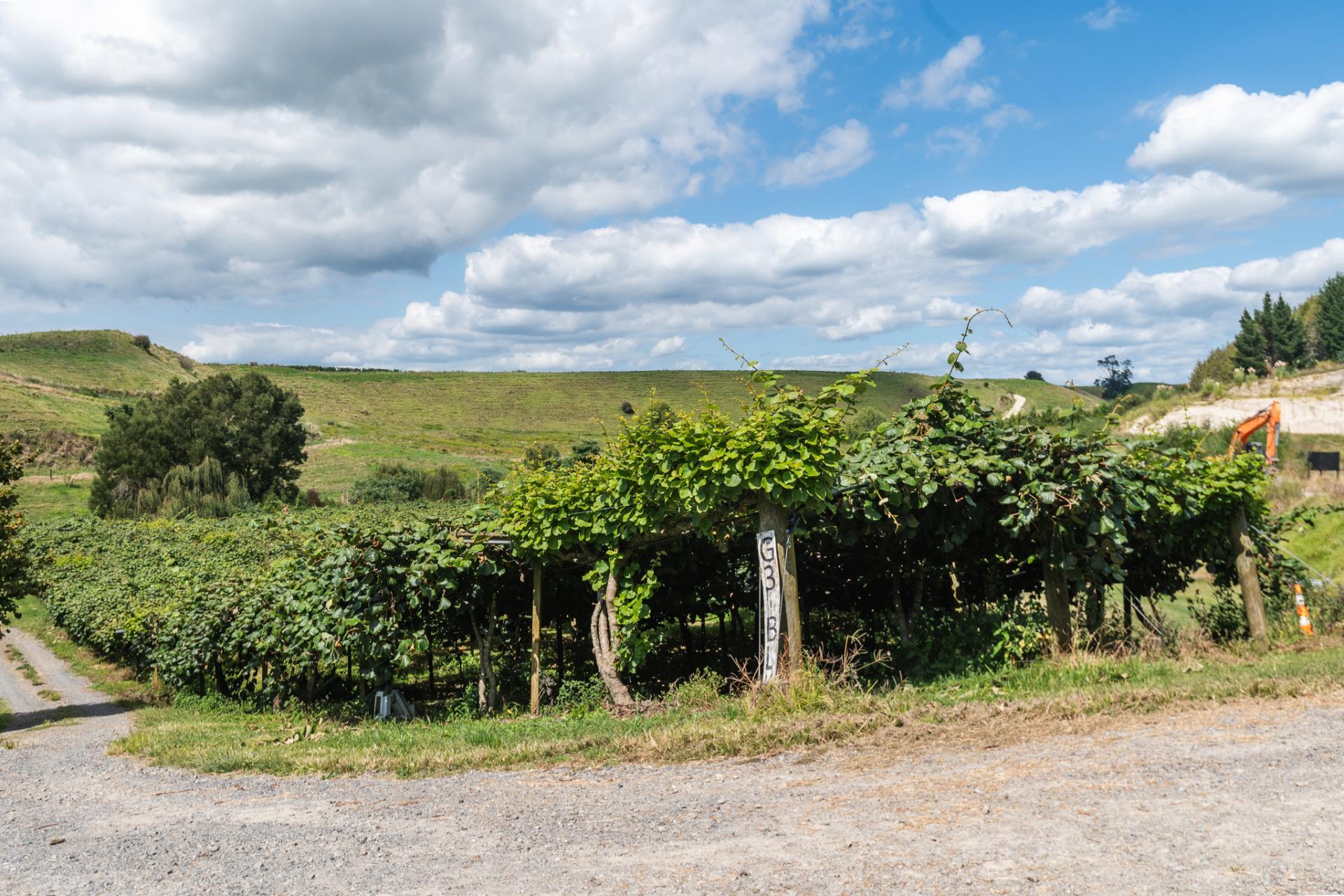 730 Old Coach Road, Pongakawa