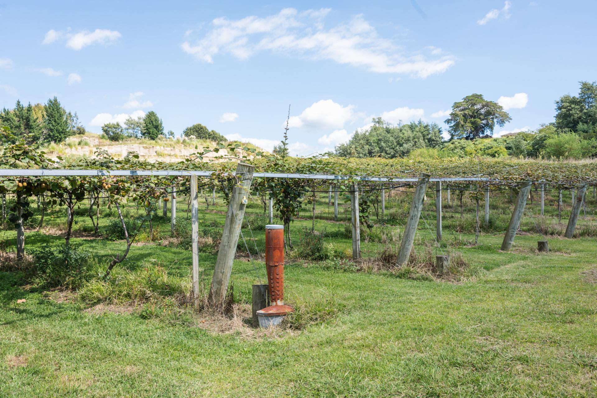 730 Old Coach Road, Pongakawa