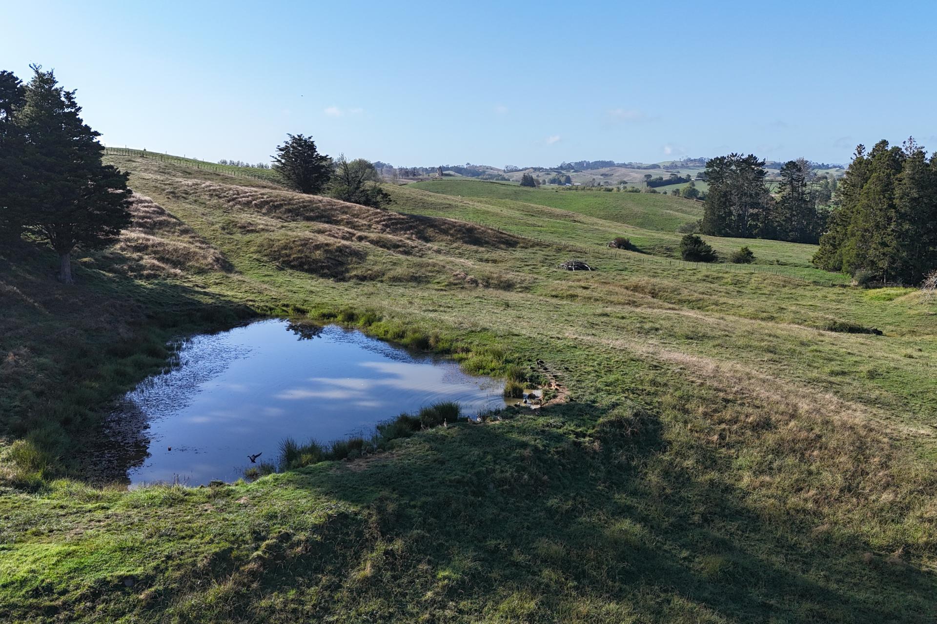 56 Shepherd Road, Wellsford