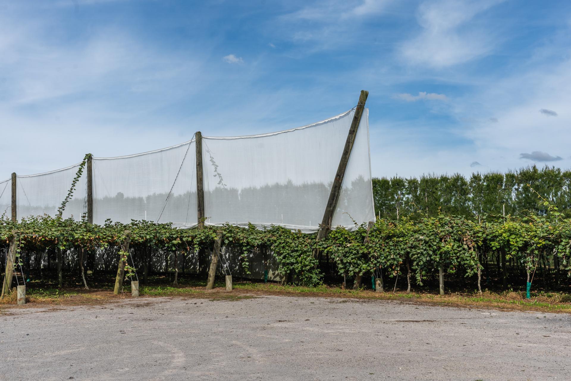 865B Oropi Road, Oropi