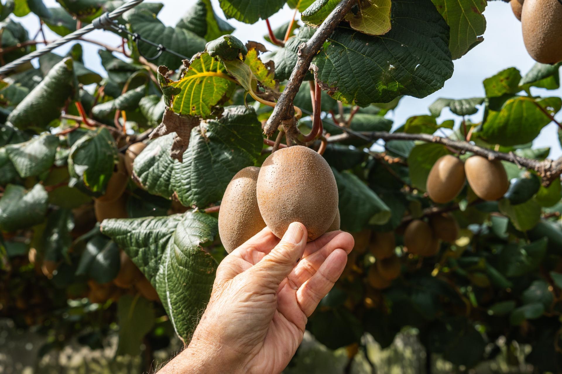 865B Oropi Road, Oropi