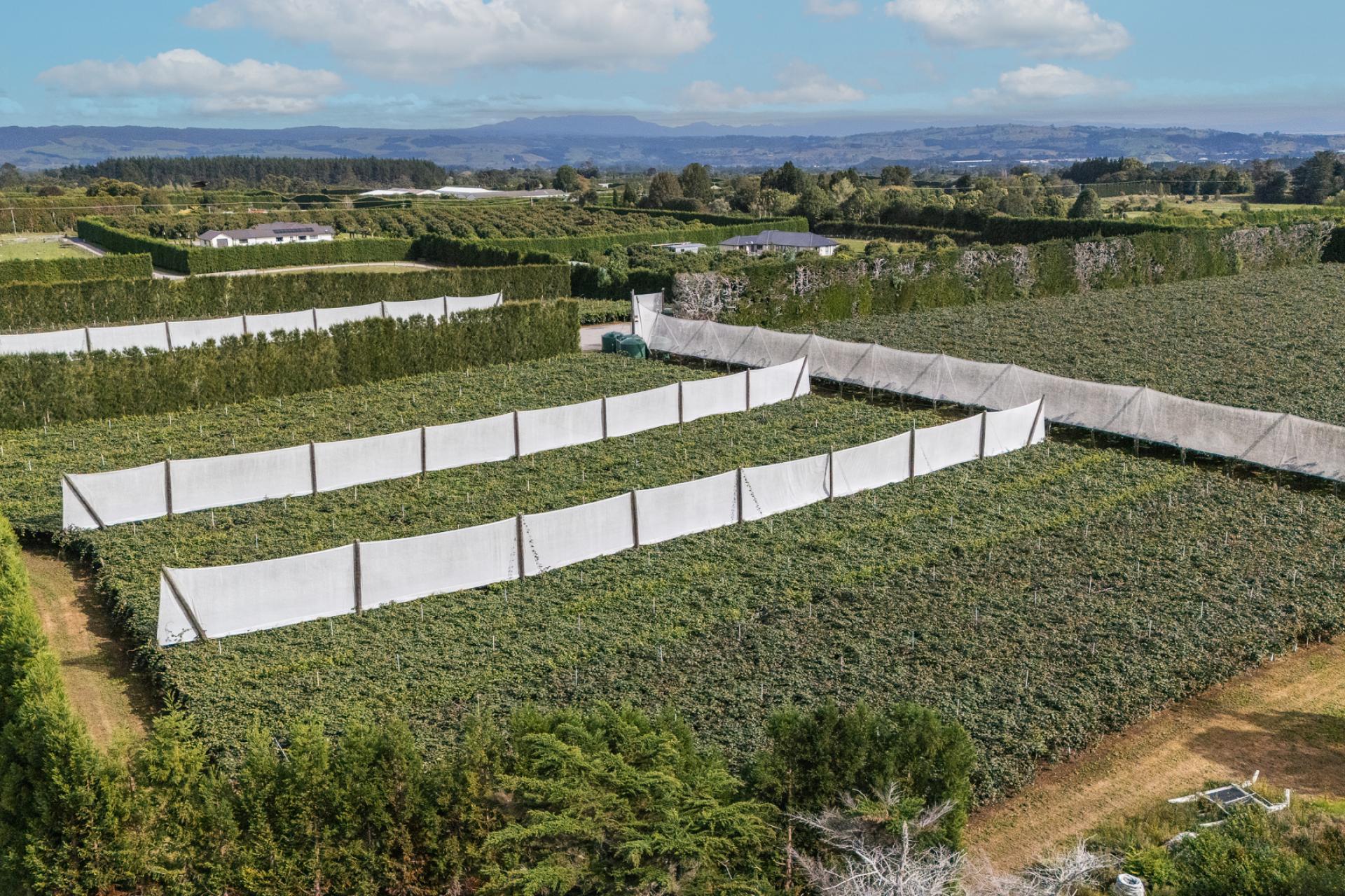 865B Oropi Road, Oropi