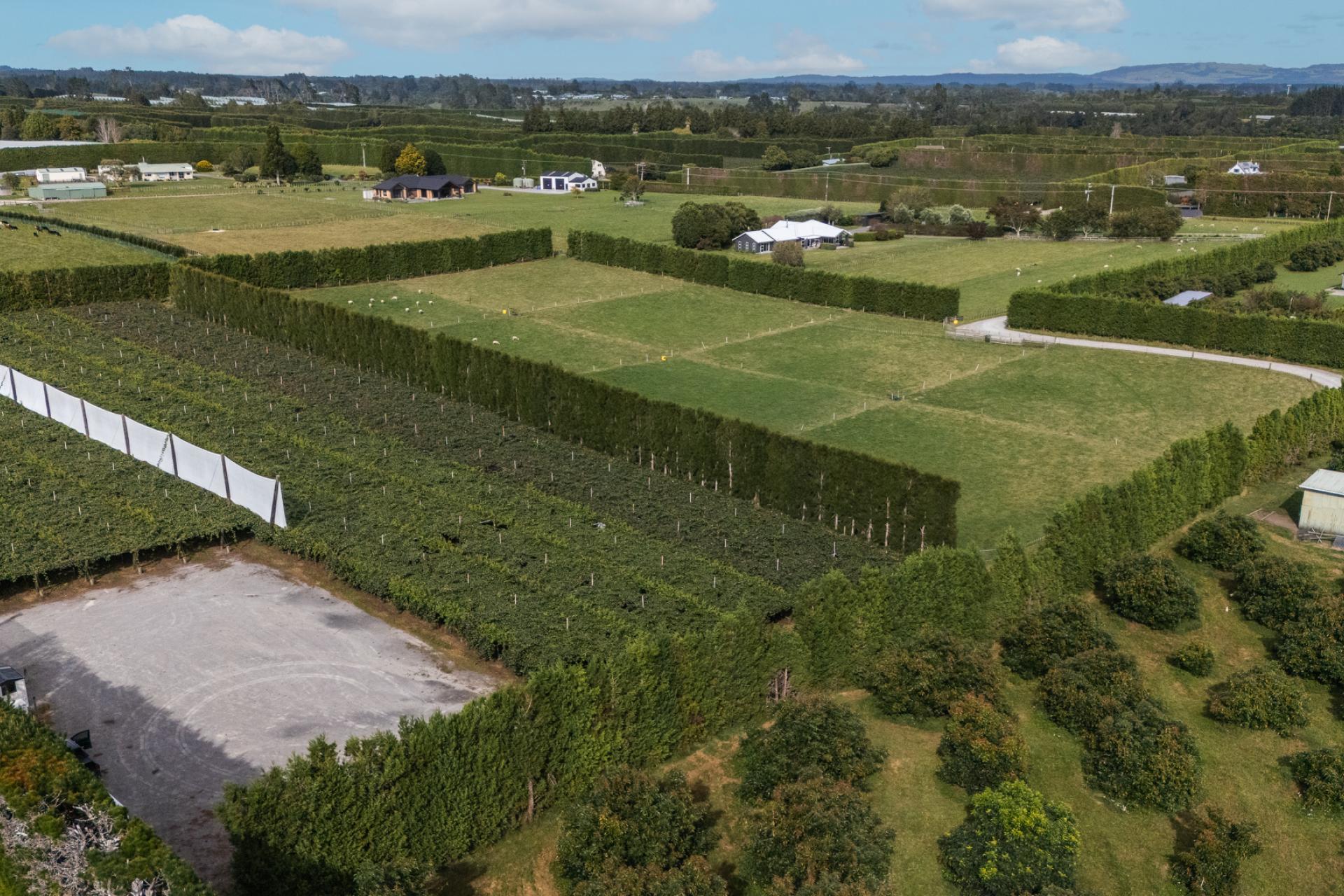 865B Oropi Road, Oropi