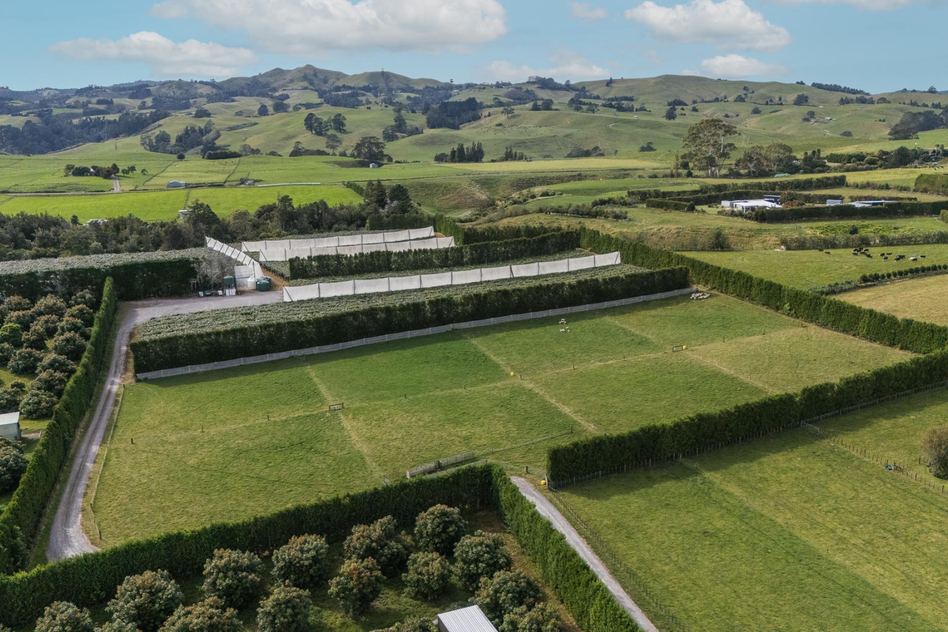 865B Oropi Road, Oropi