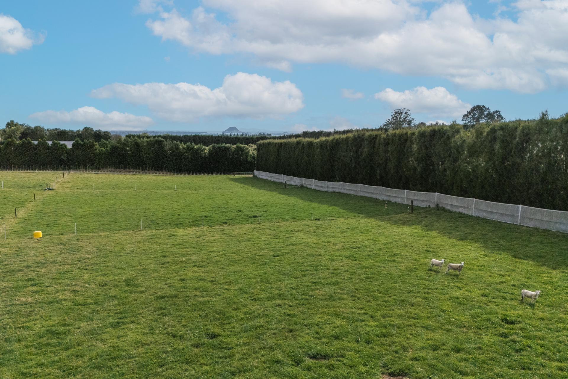 865B Oropi Road, Oropi