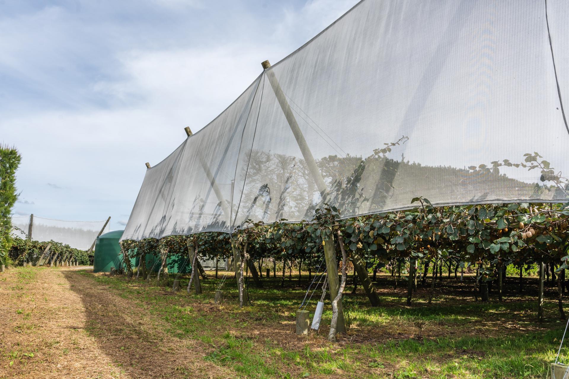 865B Oropi Road, Oropi