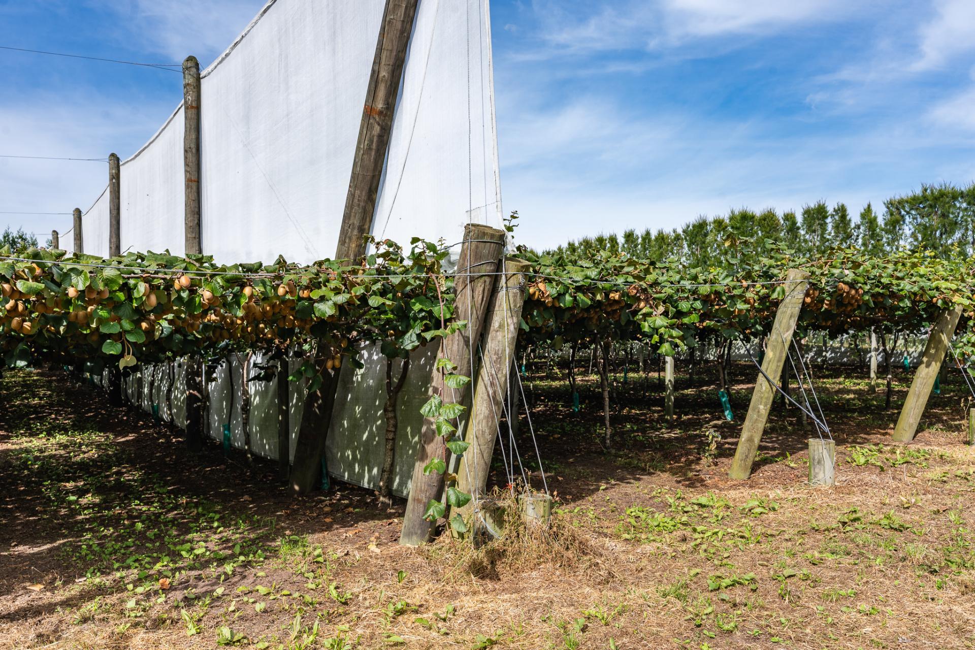 865B Oropi Road, Oropi