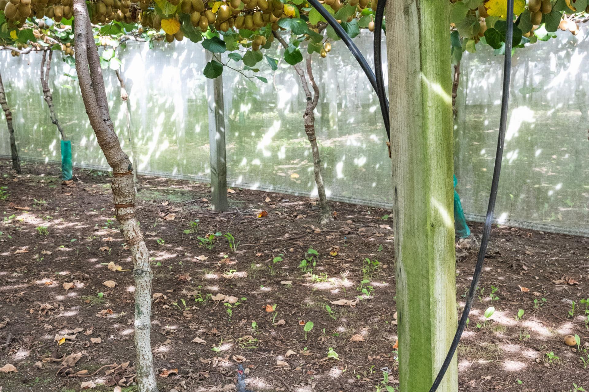 865B Oropi Road, Oropi