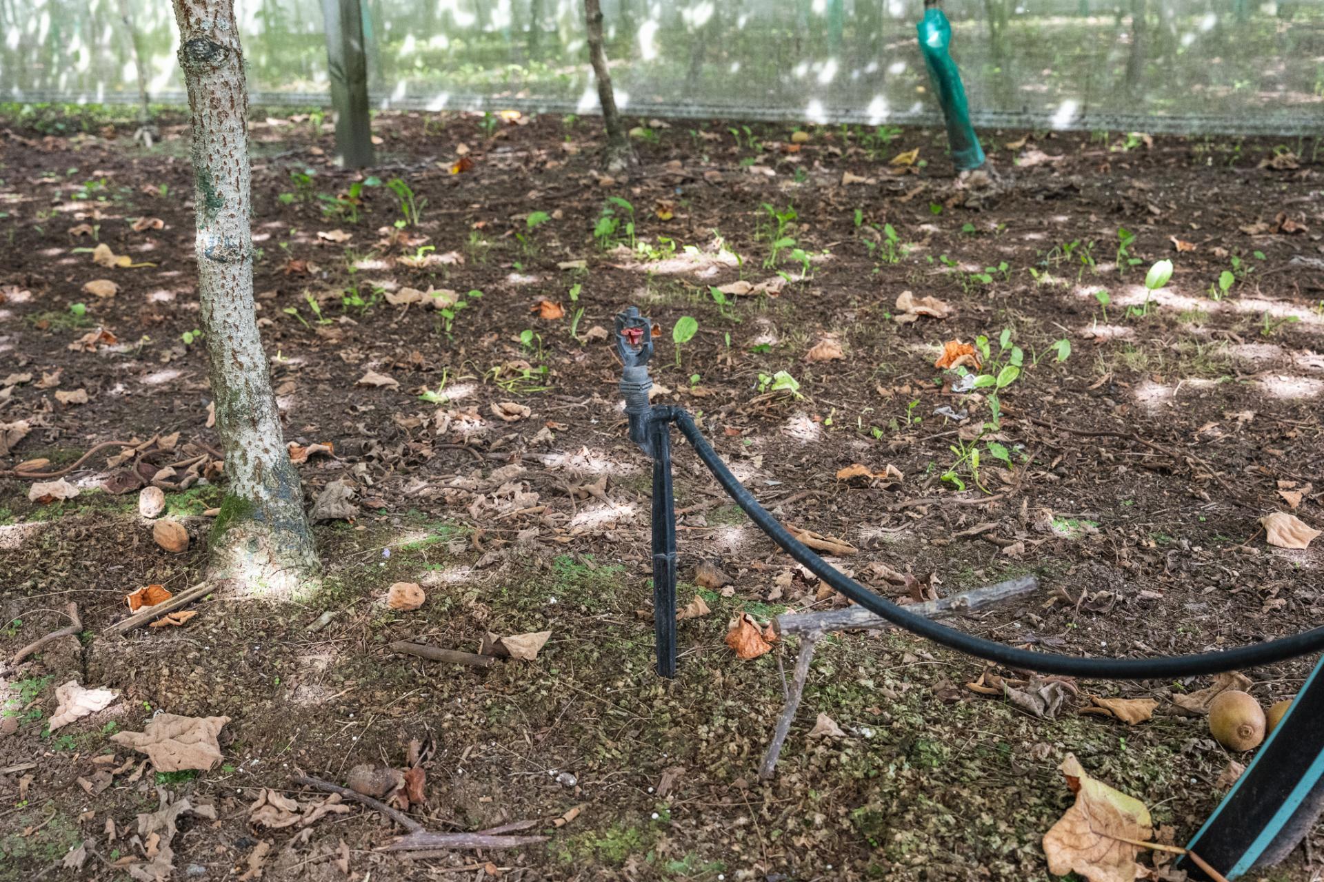 865B Oropi Road, Oropi