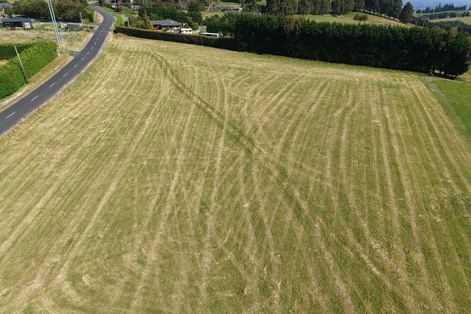 90 Halfway Bush Road, Halfway Bush